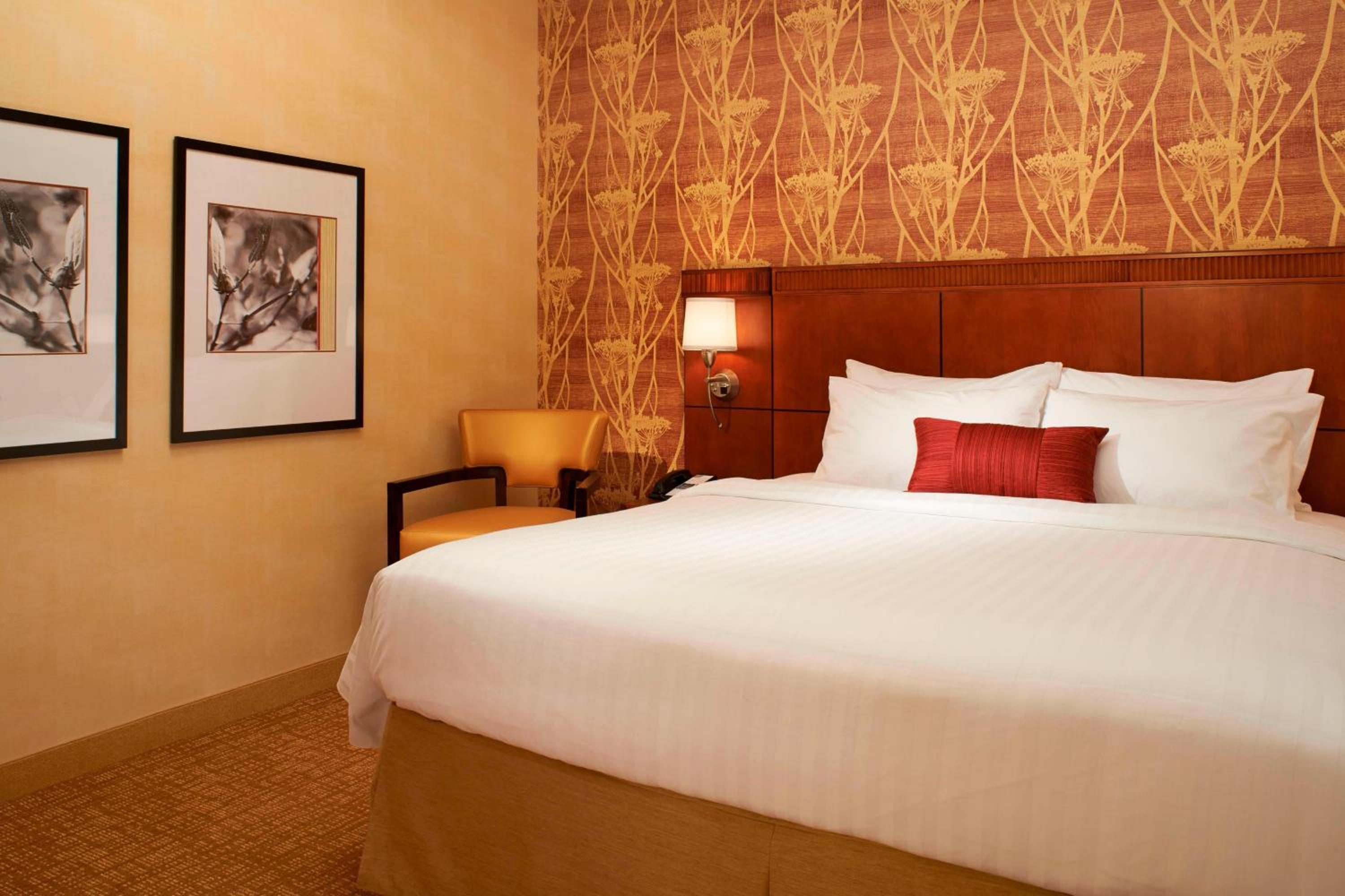 One-Bedroom King Suite - Photo 3