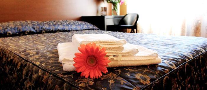 Standard Double Room - Photo 1