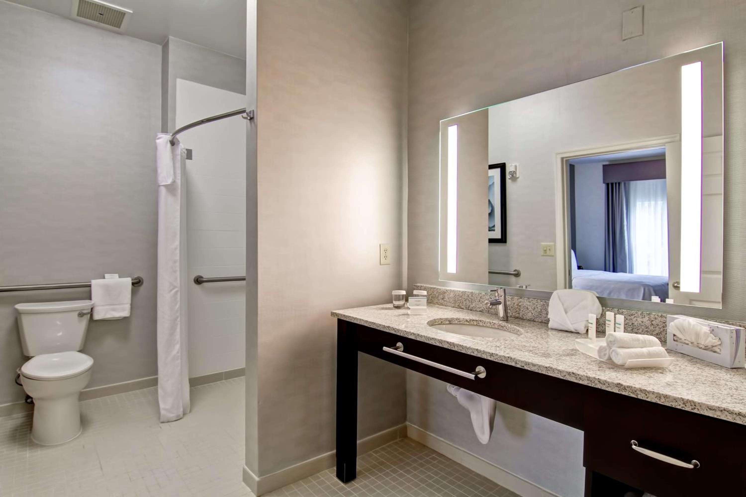 King Suite - Mobility Access/Non-Smoking - Photo 5