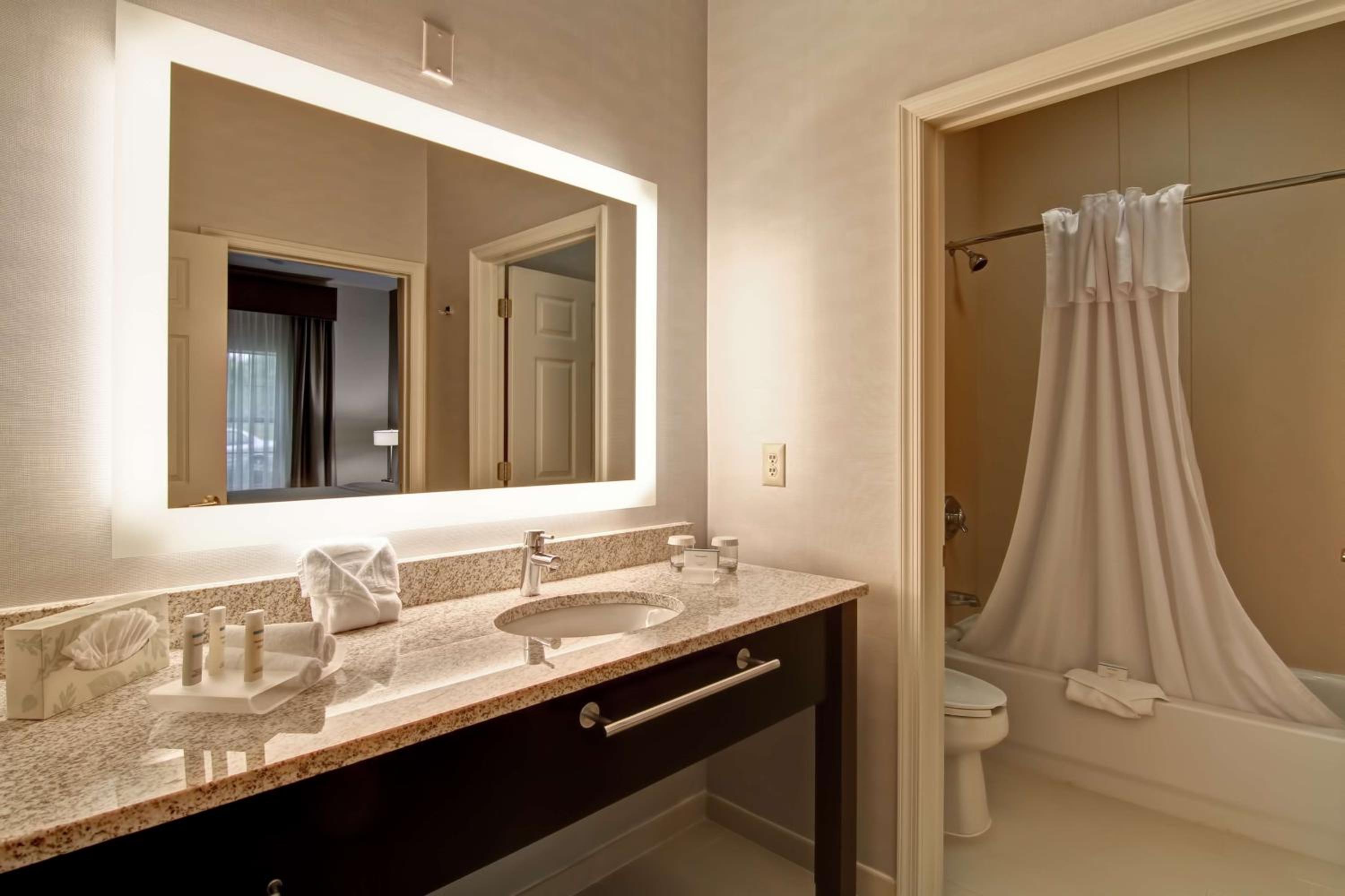 One-Bedroom King Suite - Non-Smoking - Photo 5