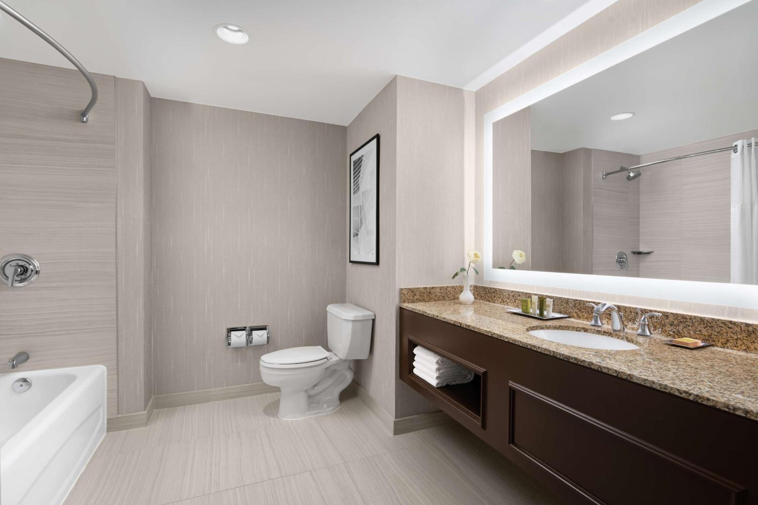 King Room with Roll-In Shower - Mobility/Hearing Accessible - Photo 5