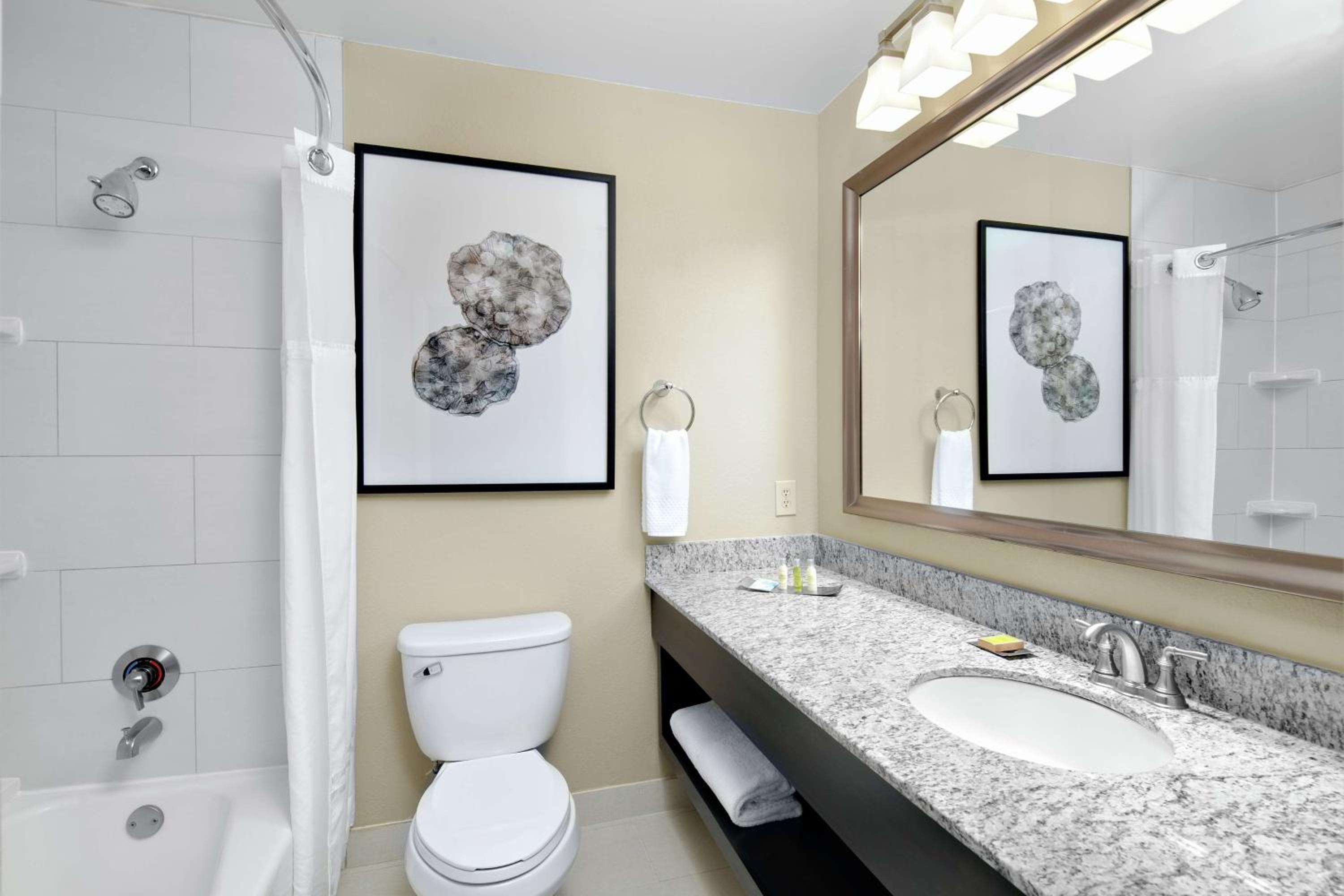 One-Bedroom King Suite - Photo 8