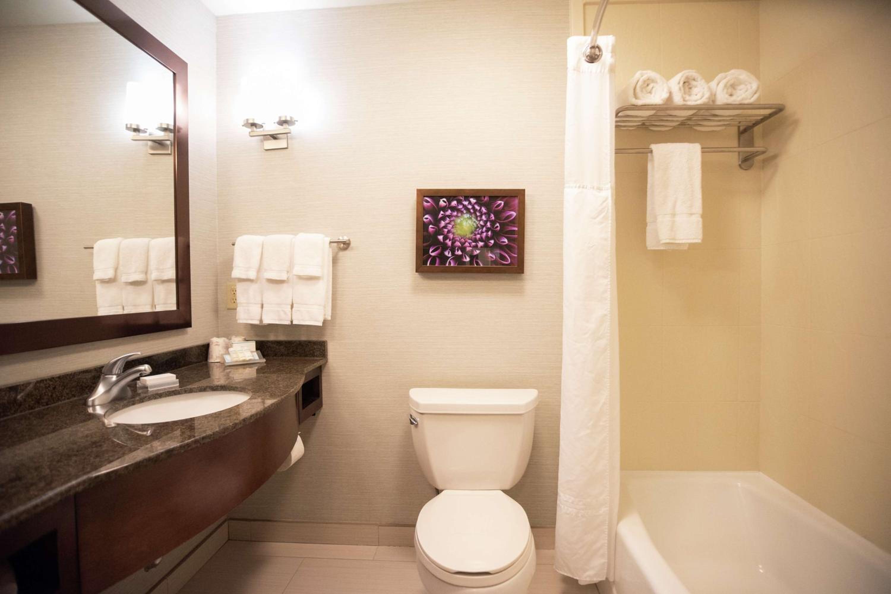 One-Bedroom King Suite with Bathtub - Mobility Access - Photo 3