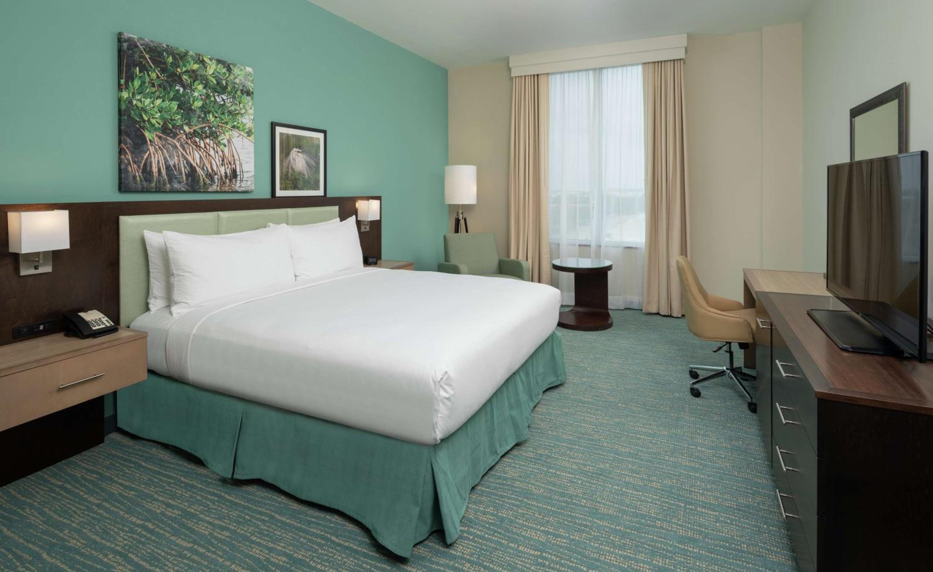 King Room - Hearing Access - Photo 3