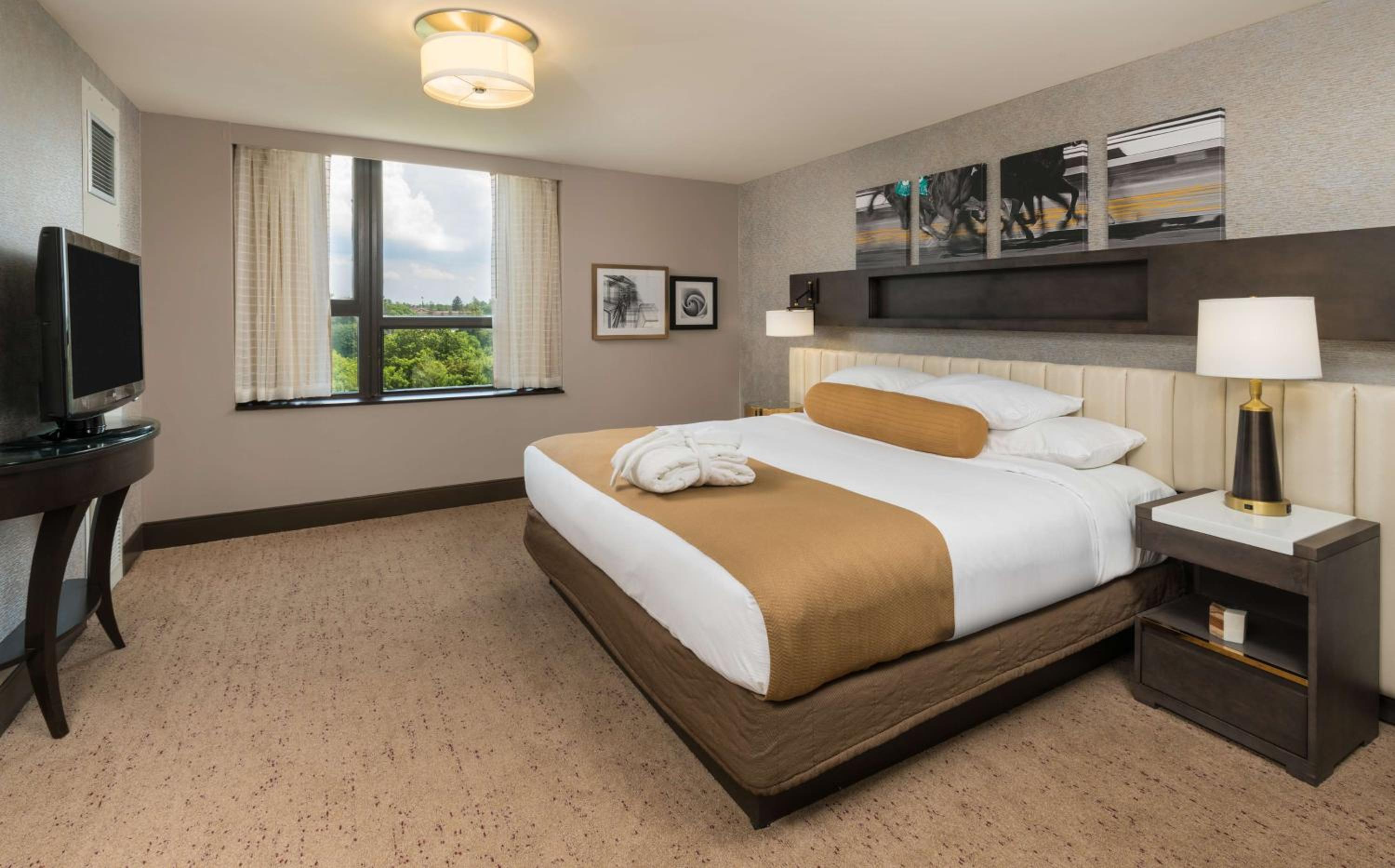 Luxury Suite - Photo 1