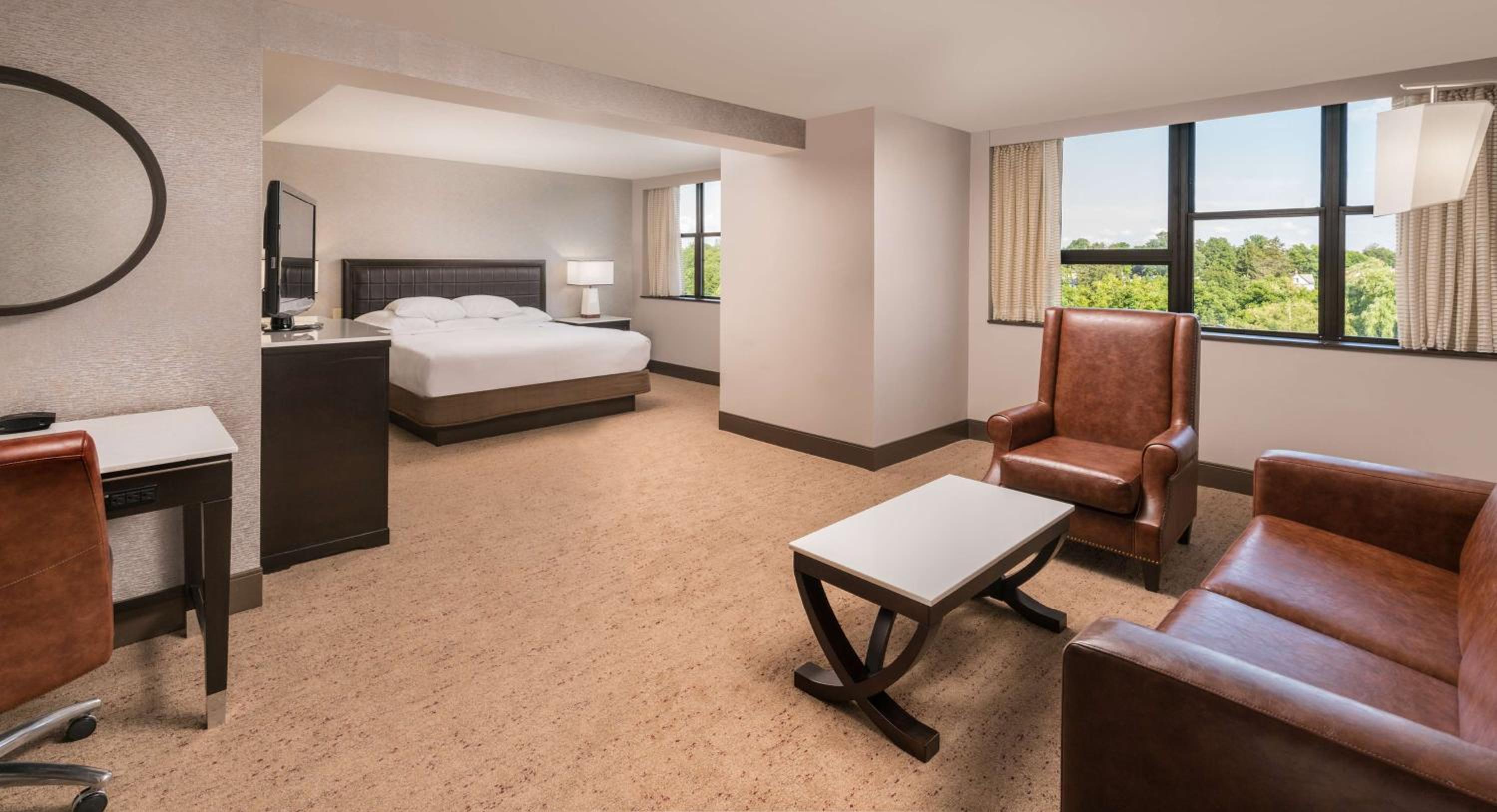Junior King Suite - Photo 3