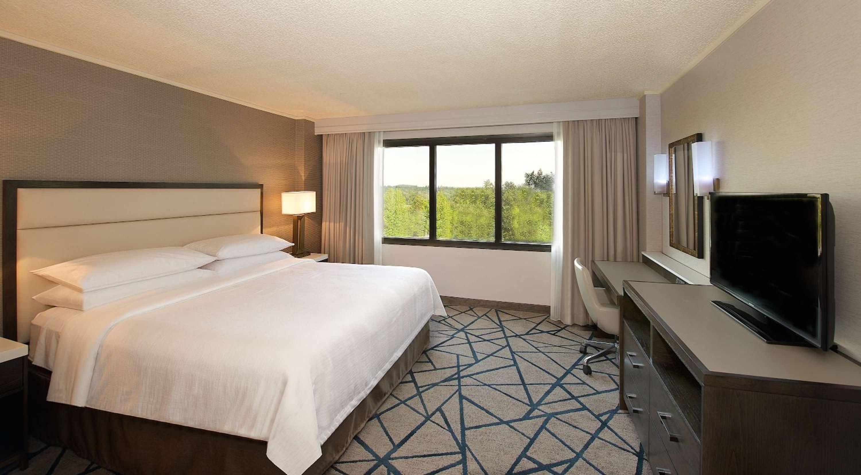 Two-Room King Suite - Non-Smoking - Photo 5