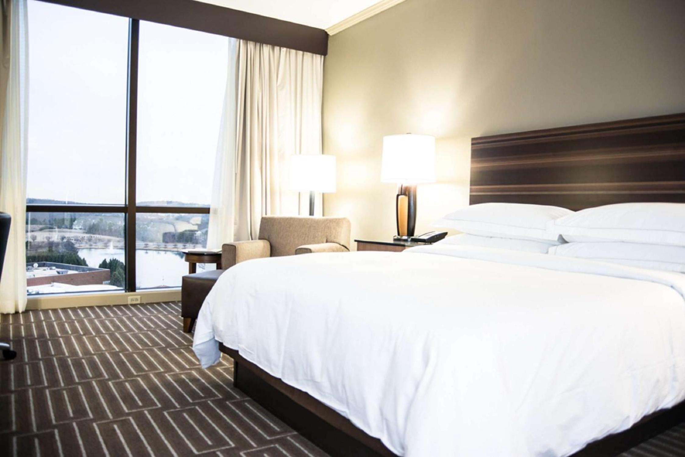 Deluxe King Room - Photo 4
