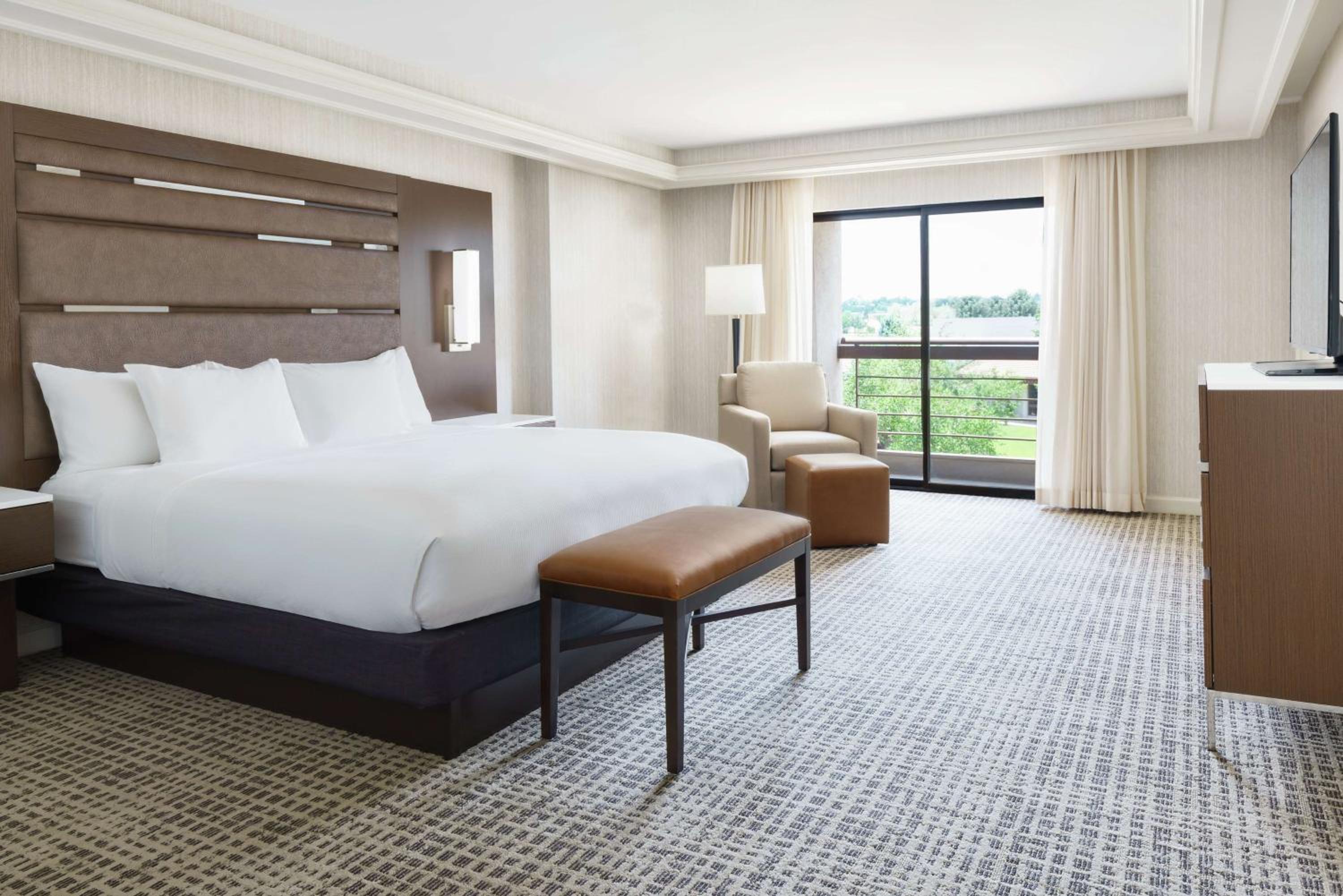 King Suite with Sofa Bed