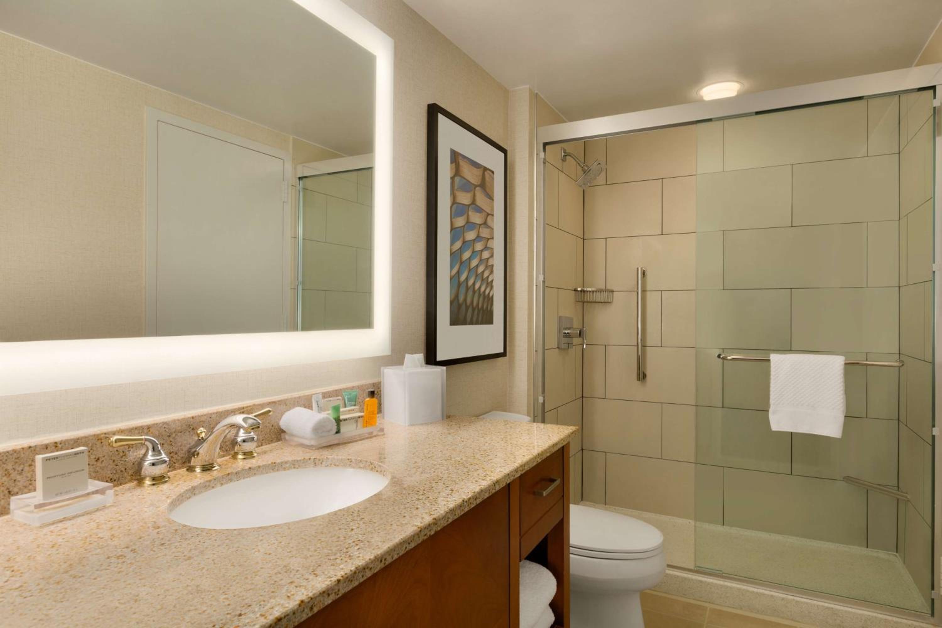 Studio Suite with Two Double Beds - Photo 3