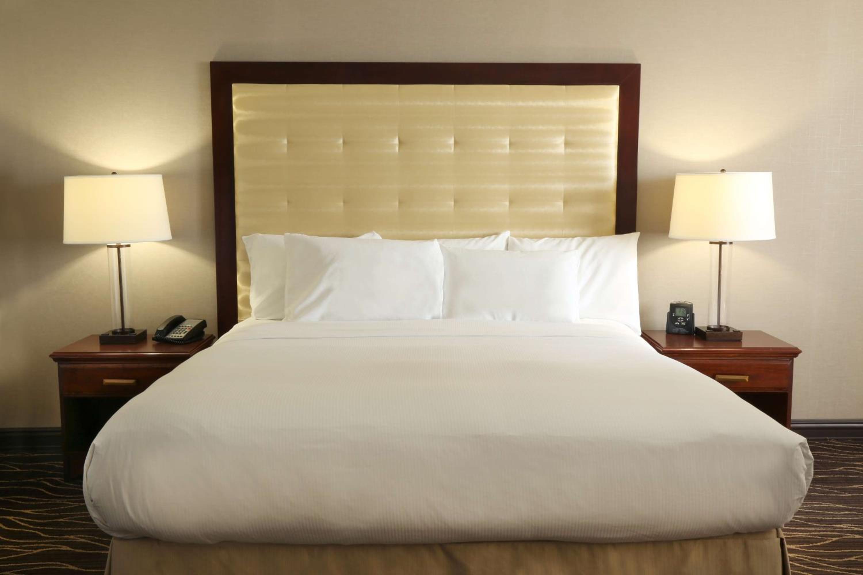 King Room - Photo 5