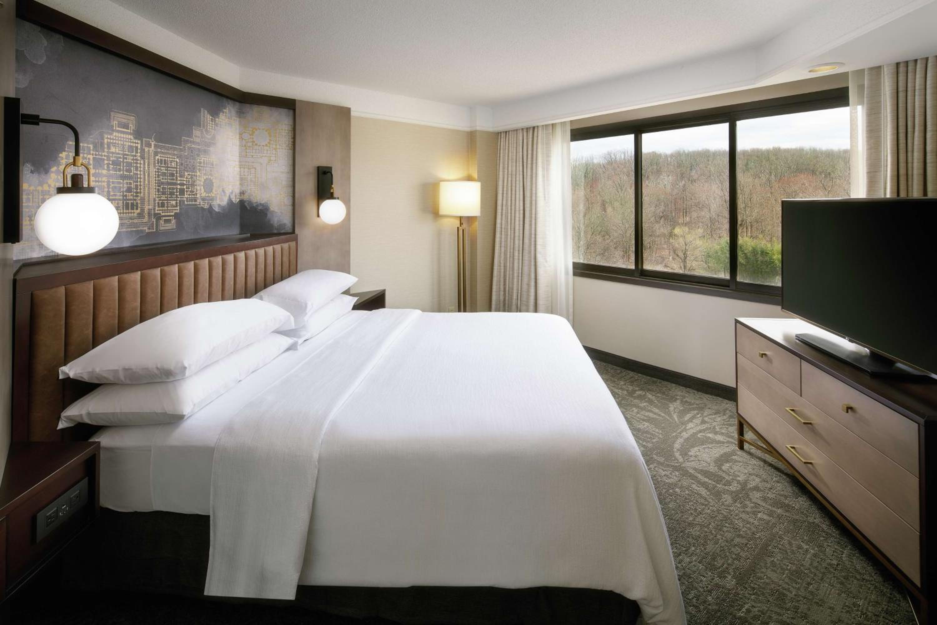 Suite with One King Bed, One Queen Sofa Bed and Shower - Photo 2