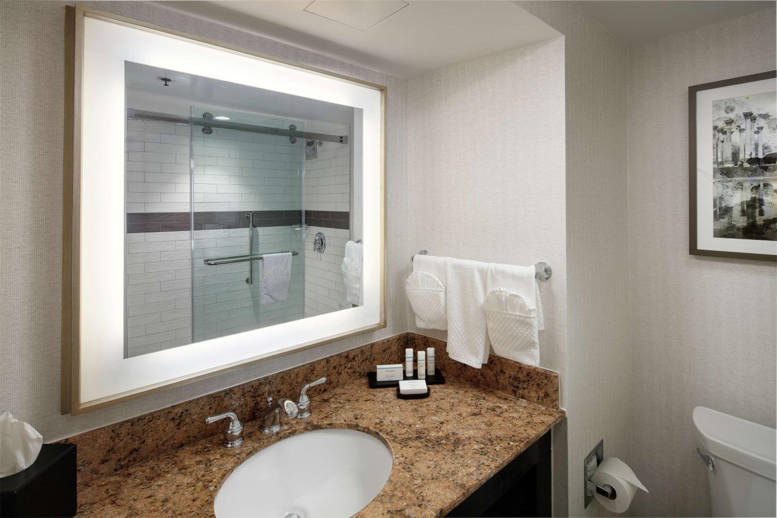 Suite with One King Bed, One Queen Sofa Bed and Shower - Photo 10