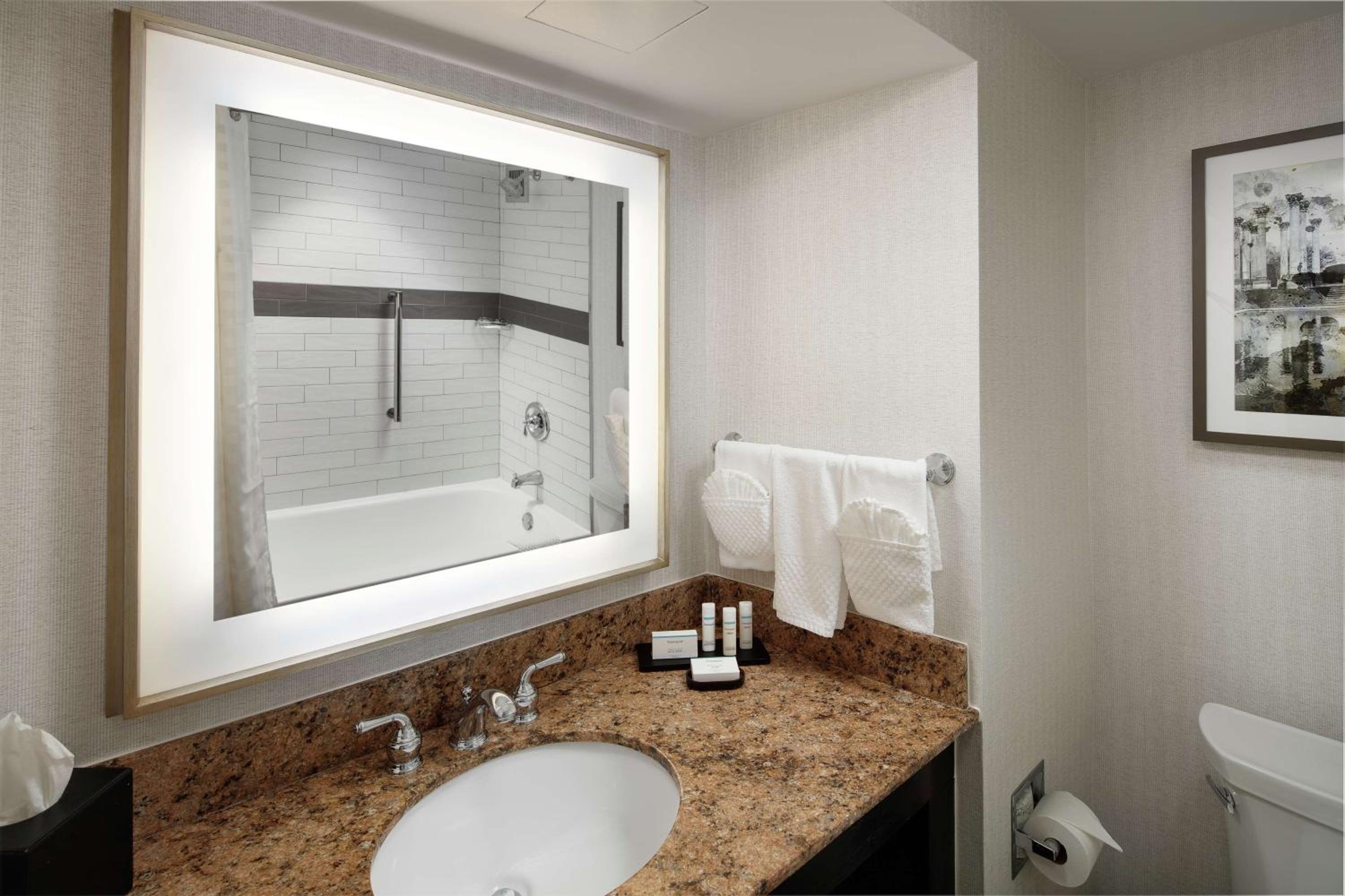 Suite with One King Bed, One Queen Sofa Bed and Shower - Photo 11