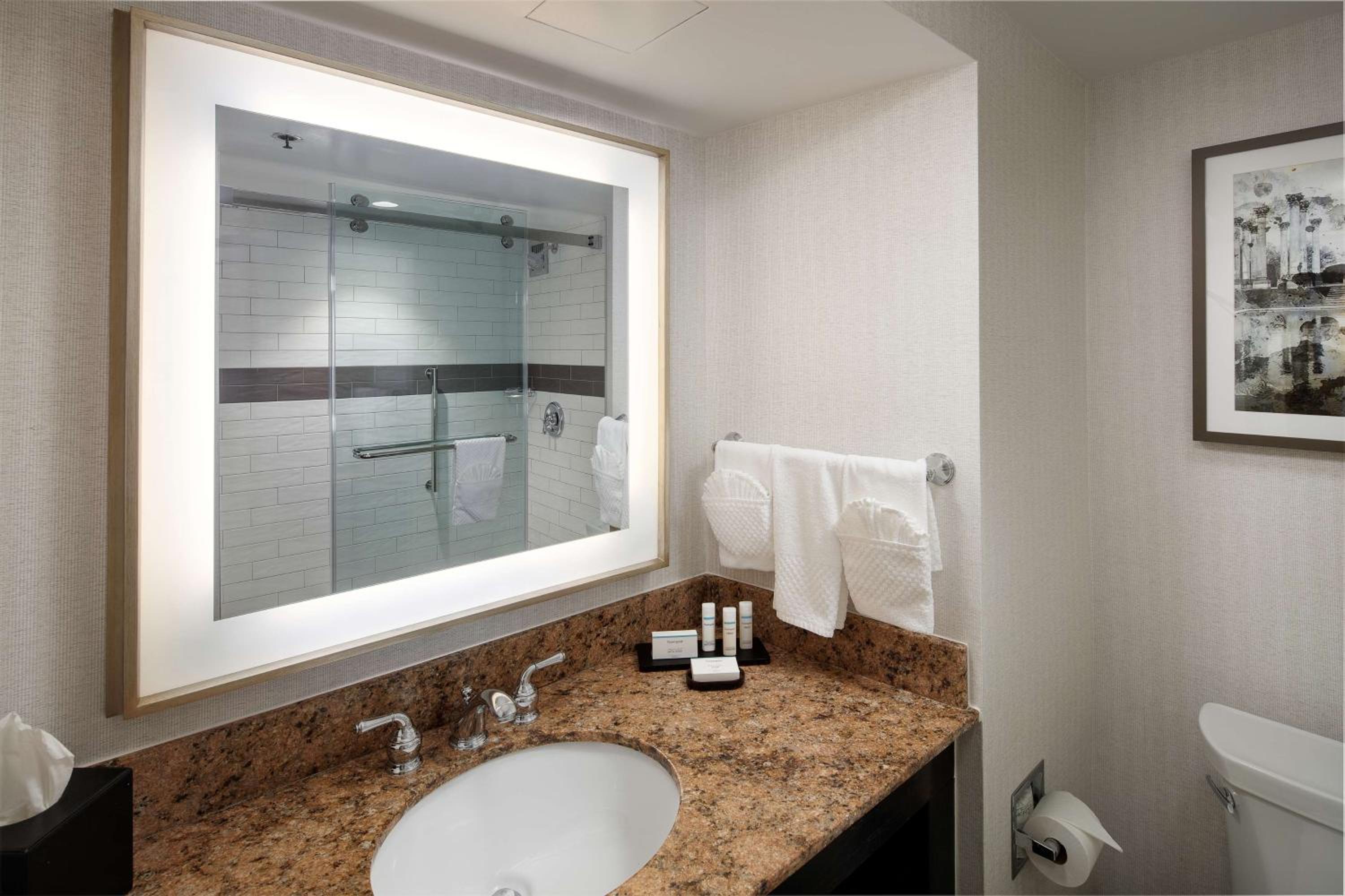 Suite with One King Bed, One Queen Sofa Bed and Shower - Photo 9