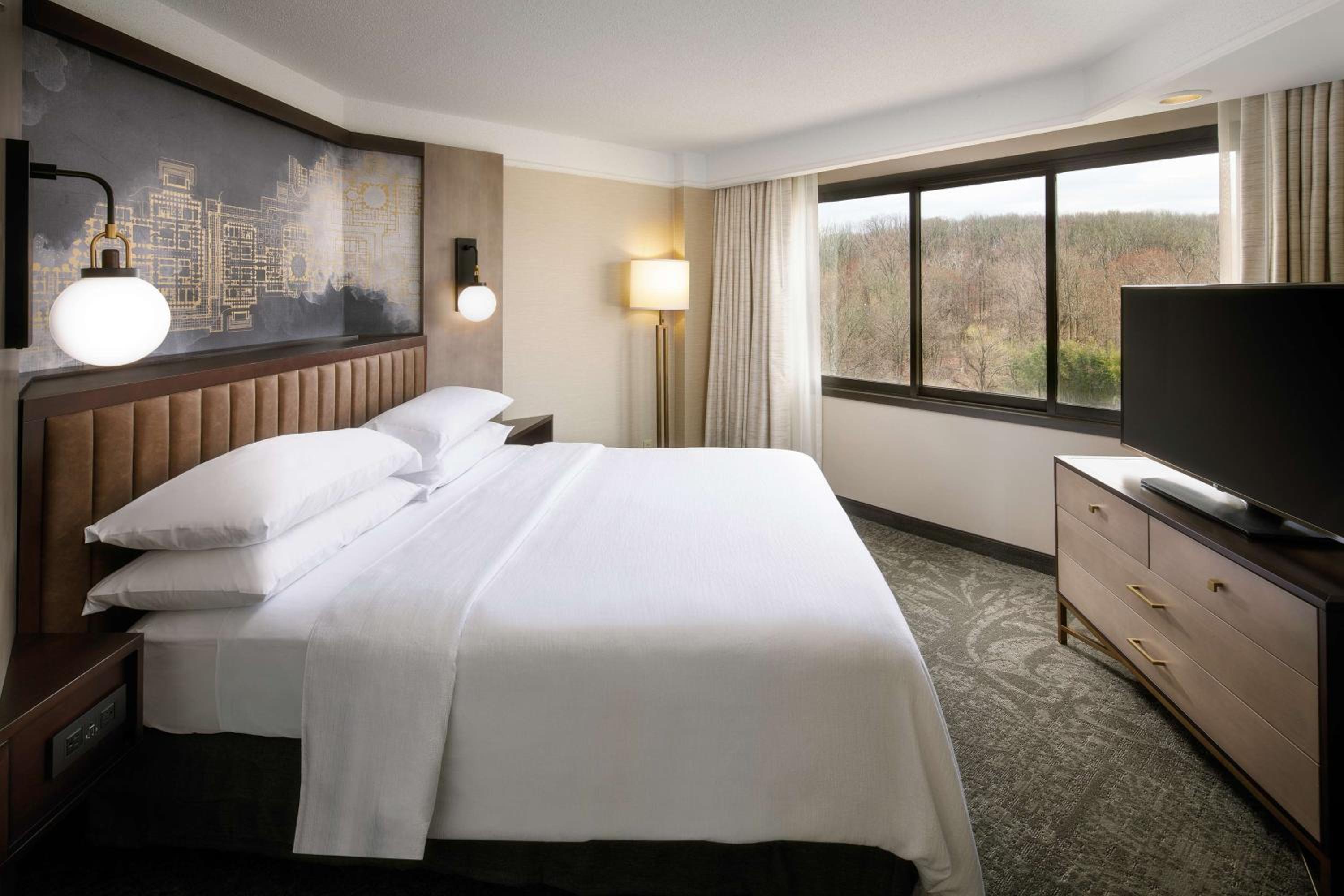 Suite with One King Bed, One Queen Sofa Bed and Shower - Photo 6