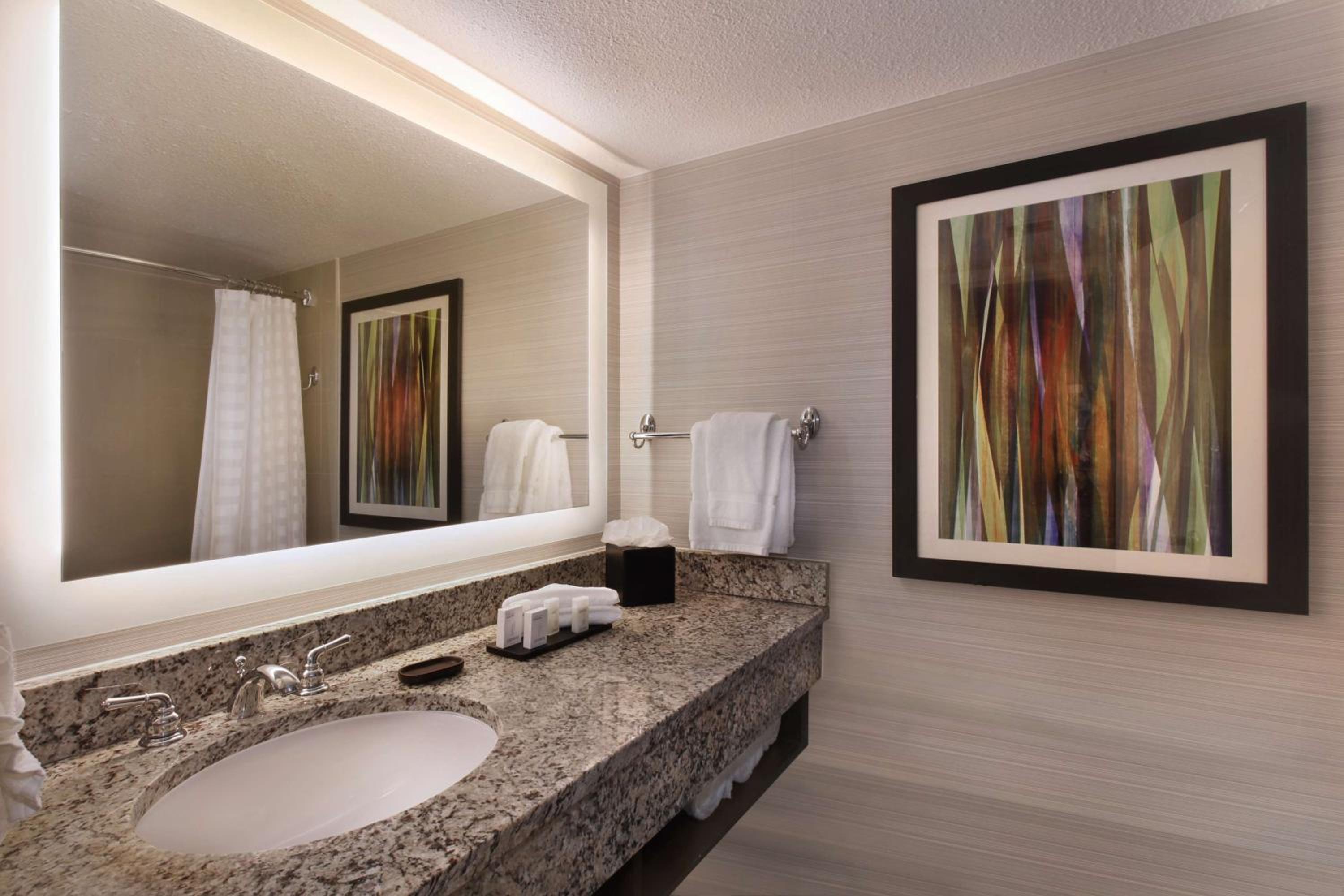 Two-Room King Suite - Non-Smoking - Photo 3