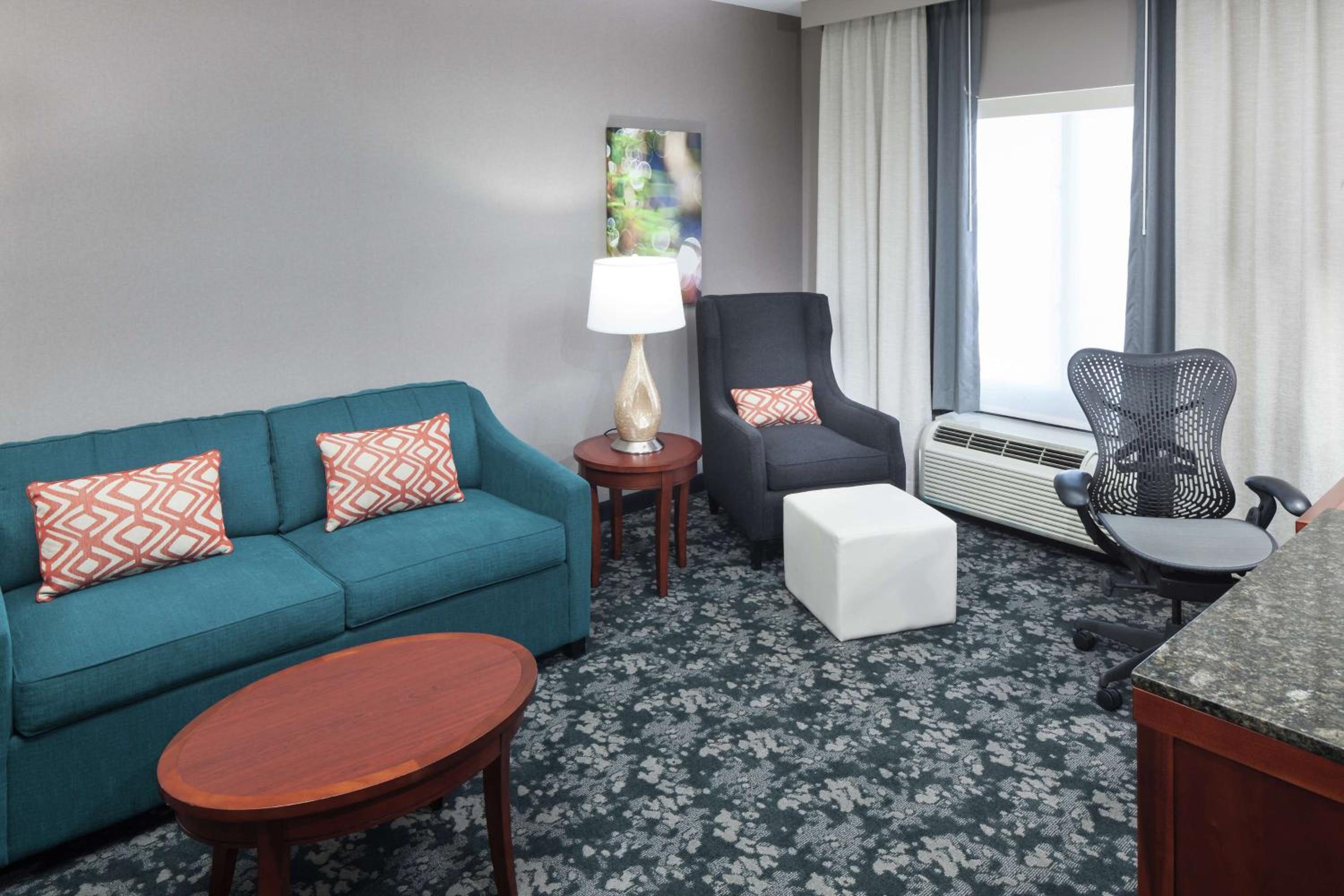 Deluxe King Suite - Photo 4