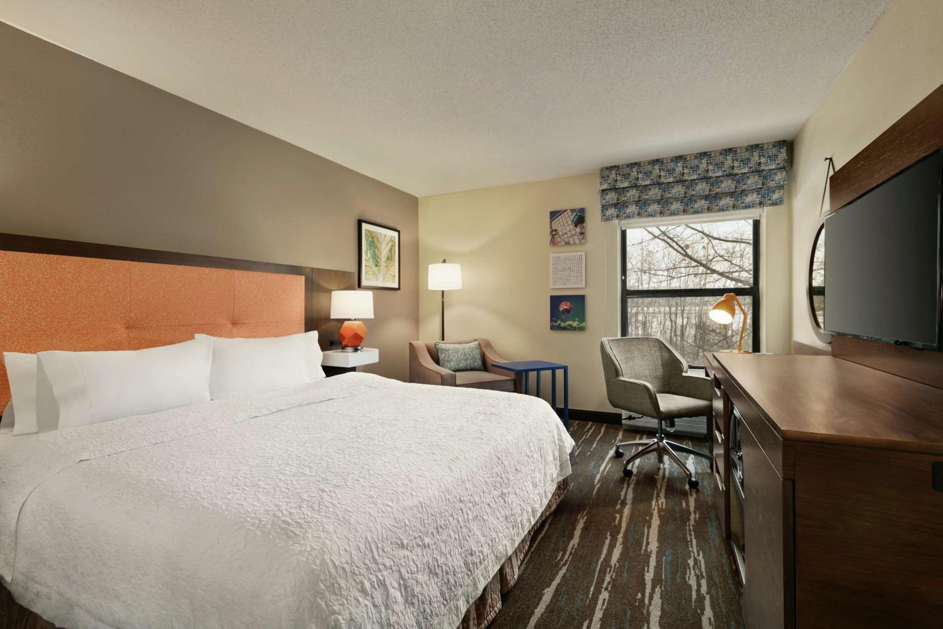 King Room - Photo 1
