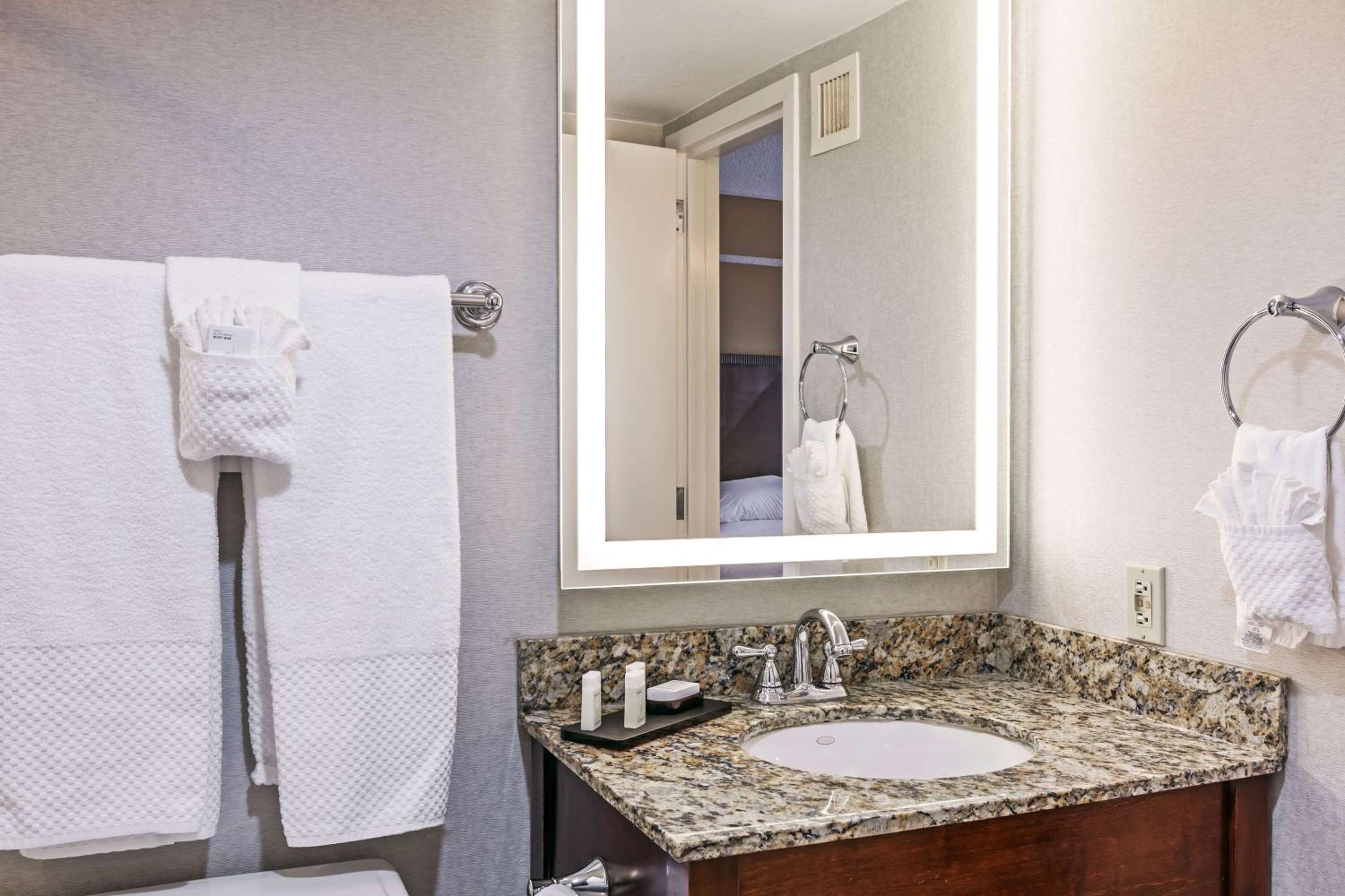 Two-Room King Suite with City View - High Floor - Photo 4