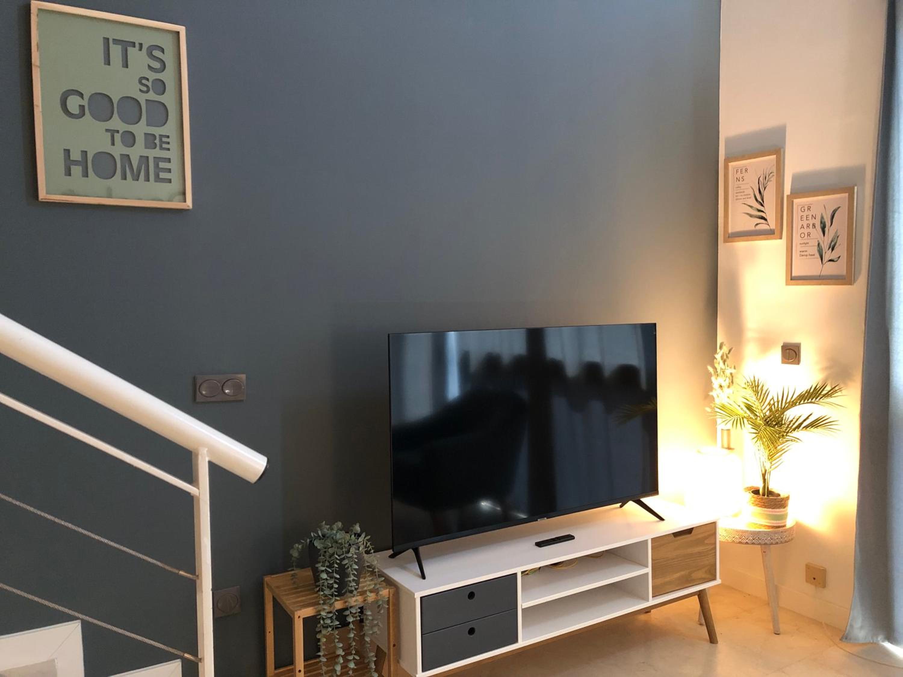 Duplex Apartment photo 3