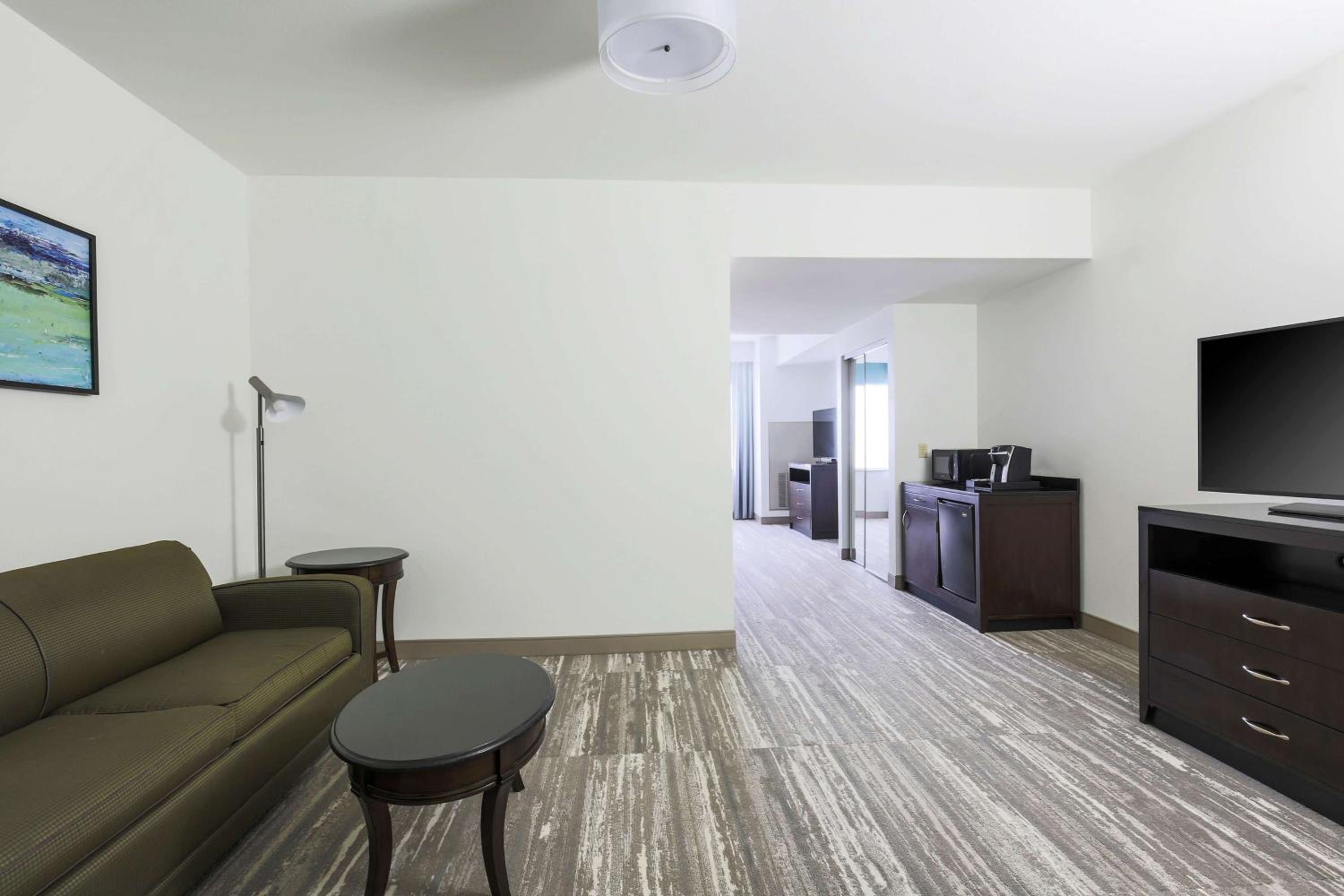 One-Bedroom King Suite - Photo 6