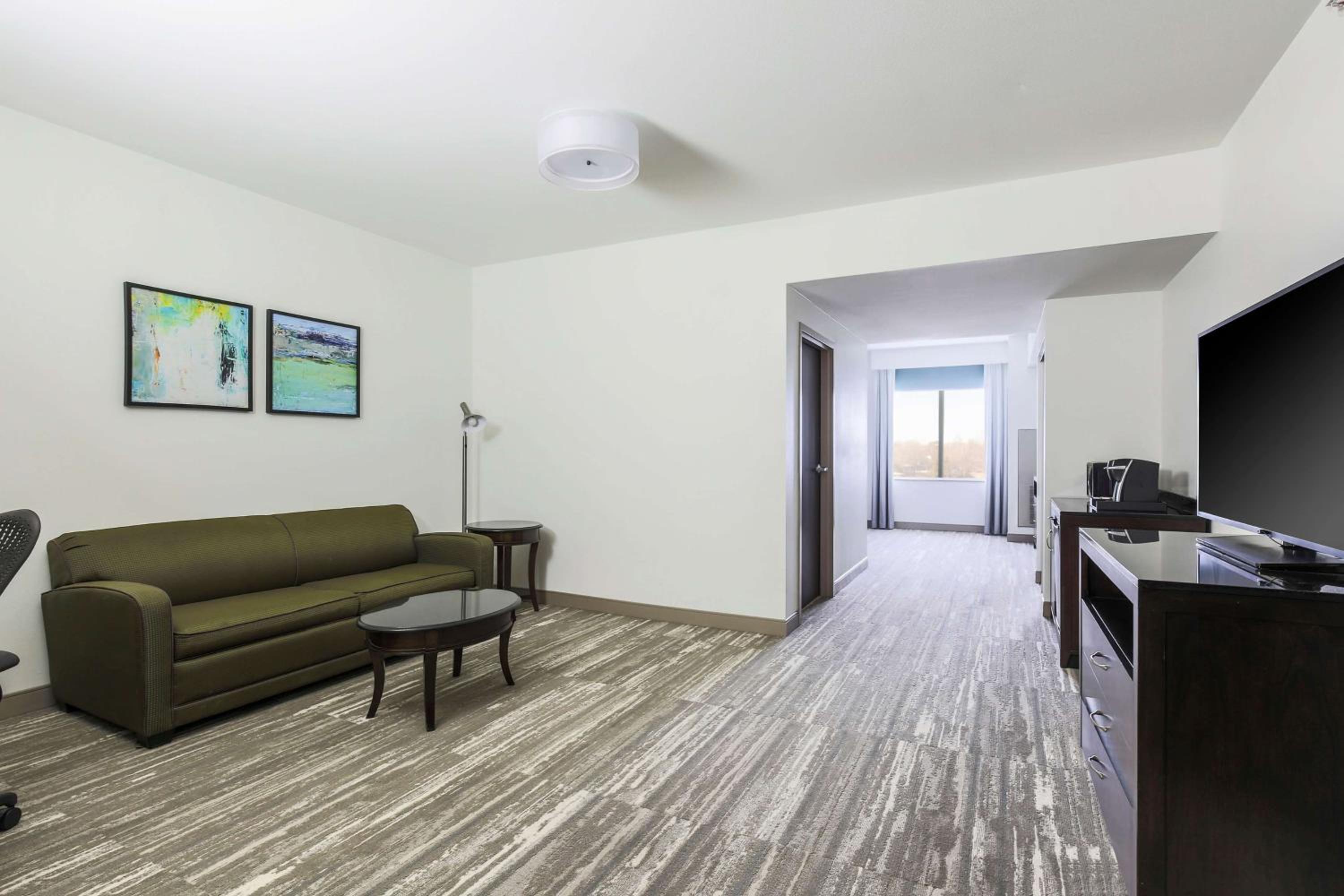 One-Bedroom King Suite - Photo 4
