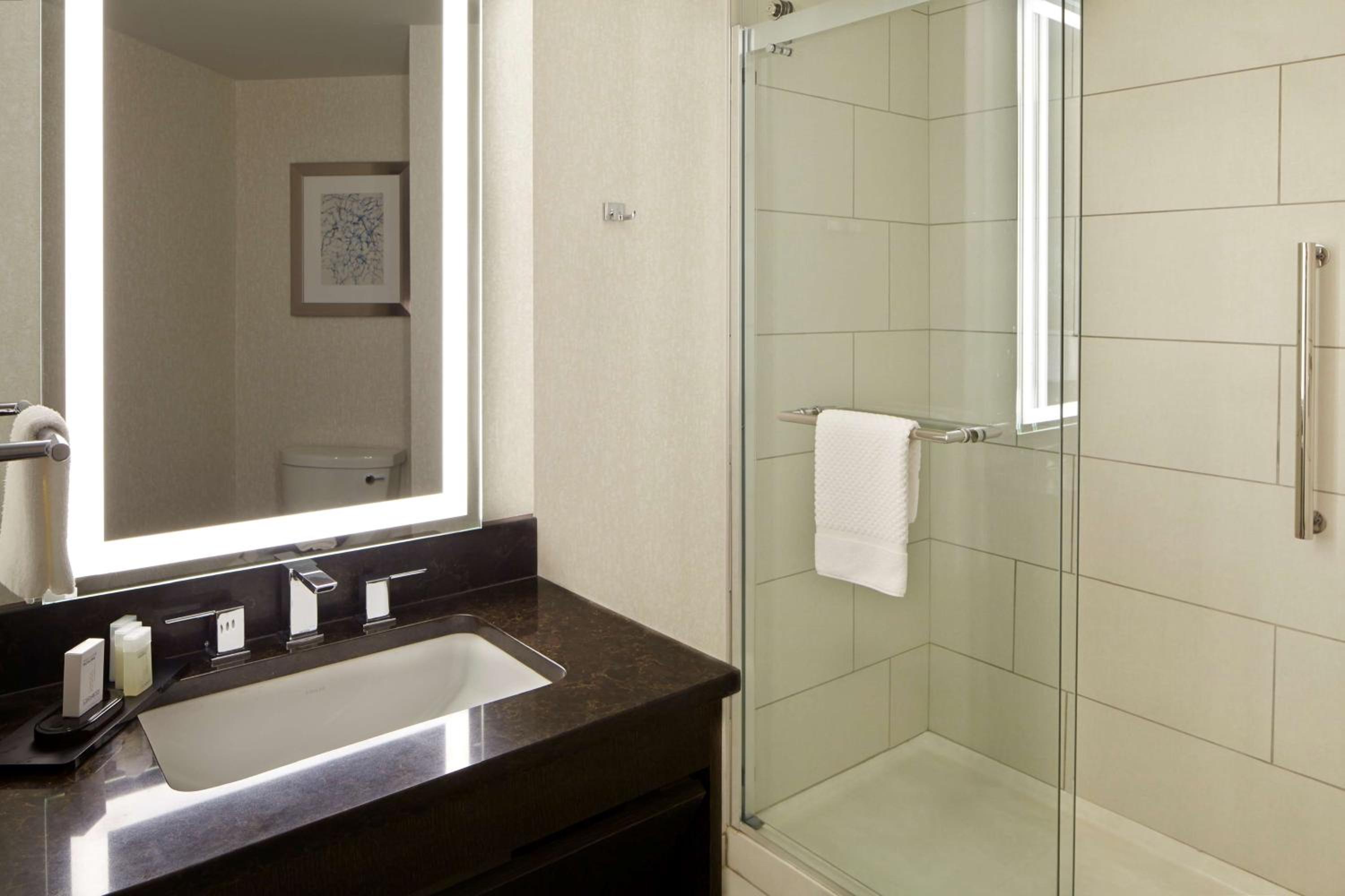Premium King Suite - Photo 3