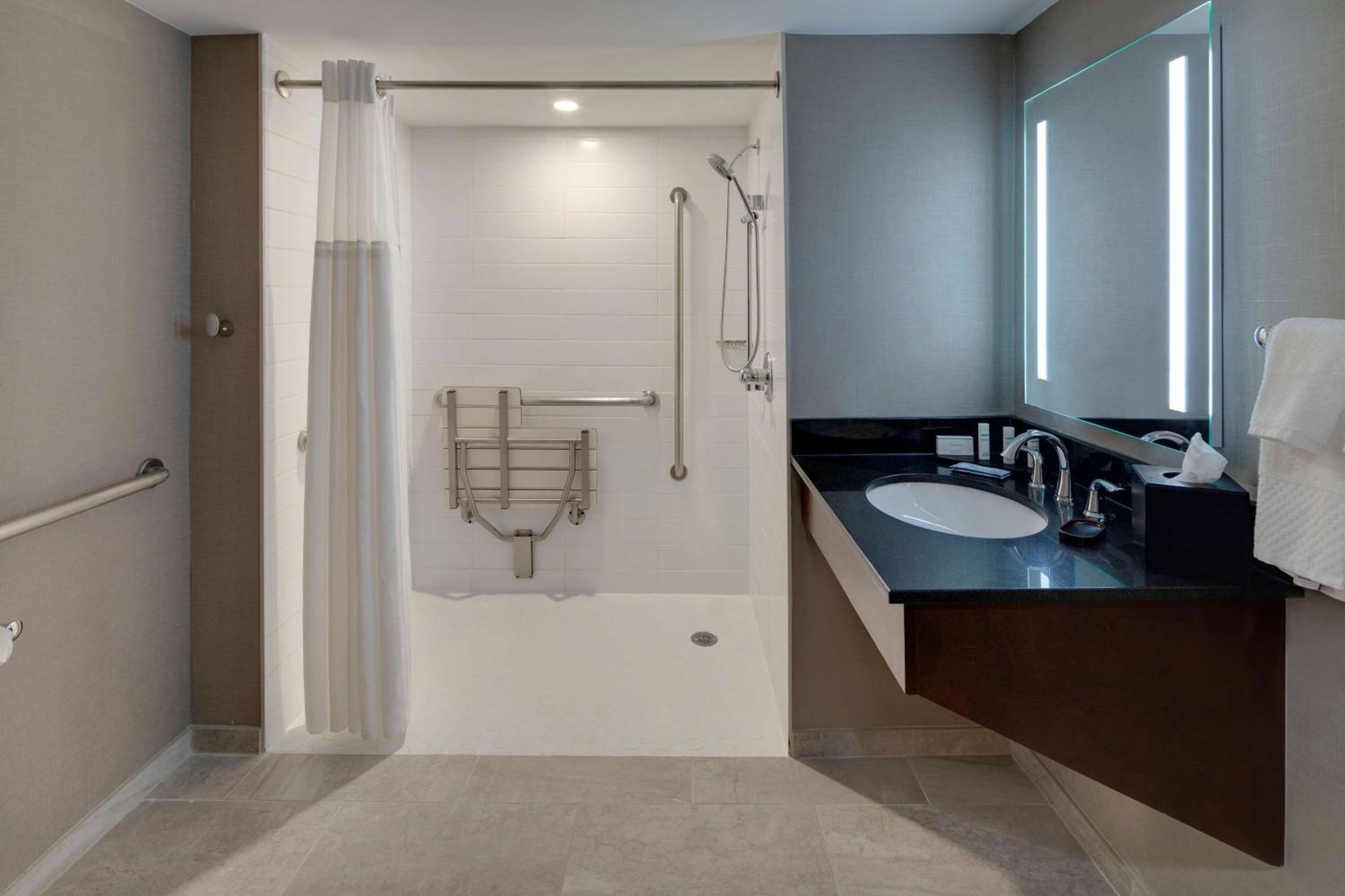 King Suite with Roll-In Shower - Mobility Accessible - Photo 4