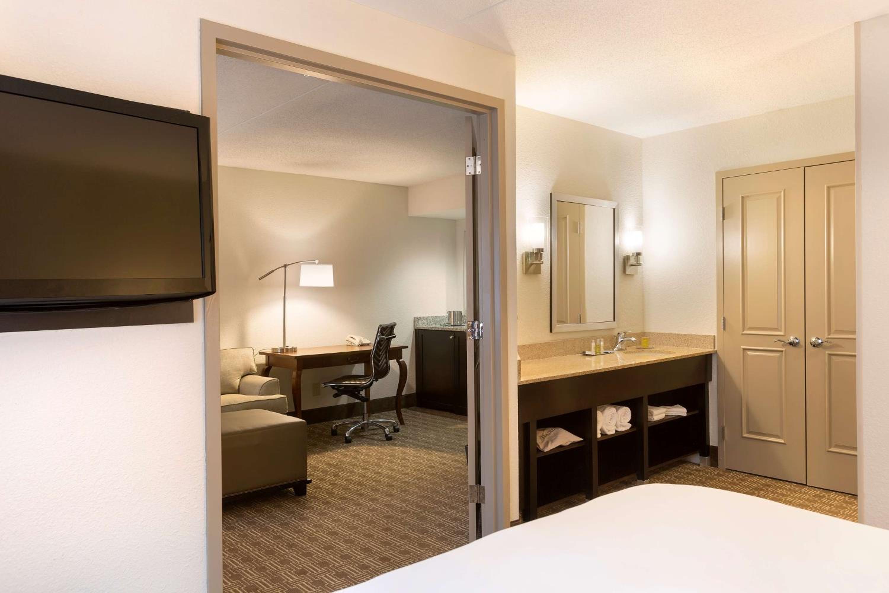 Deluxe King Suite - Photo 6