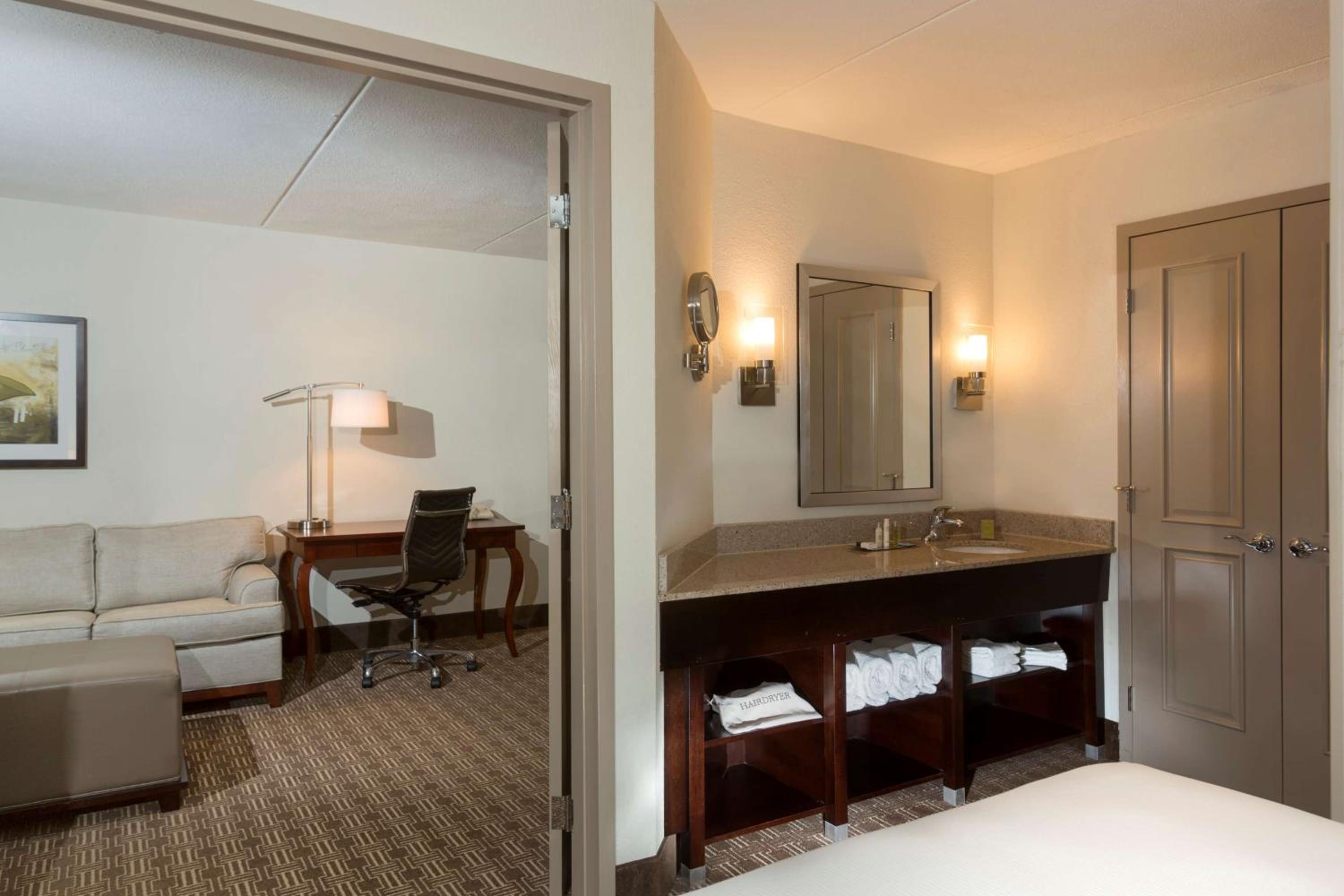 Deluxe King Suite - Photo 4