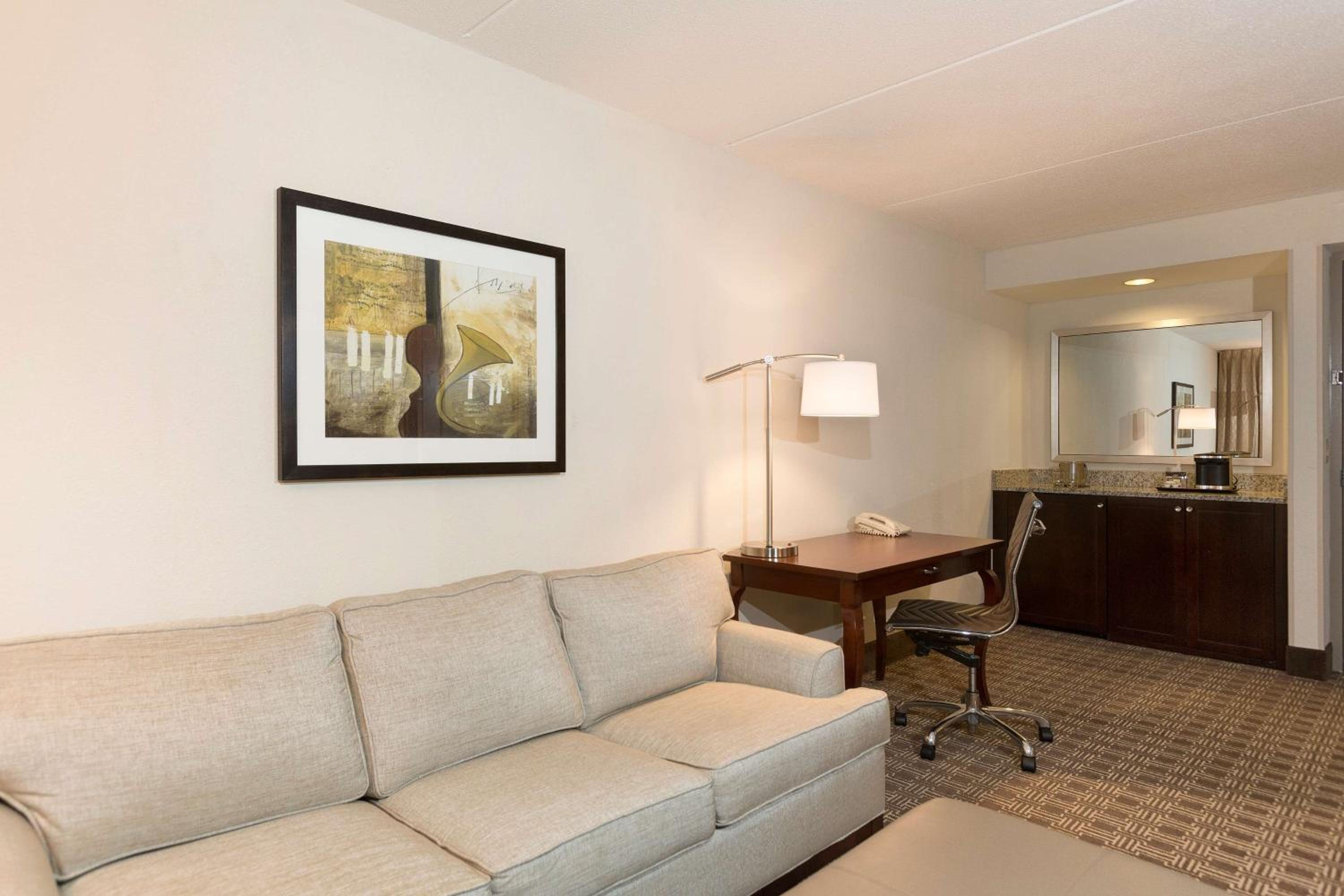 Deluxe King Suite - Photo 7
