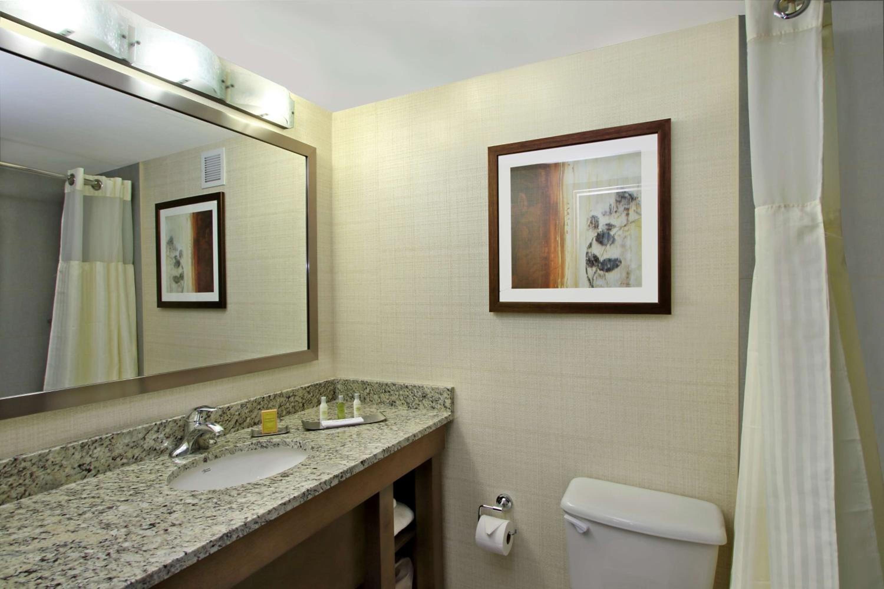 King Room Accessible Tub - Mobility Access/Non-Smoking - Photo 3