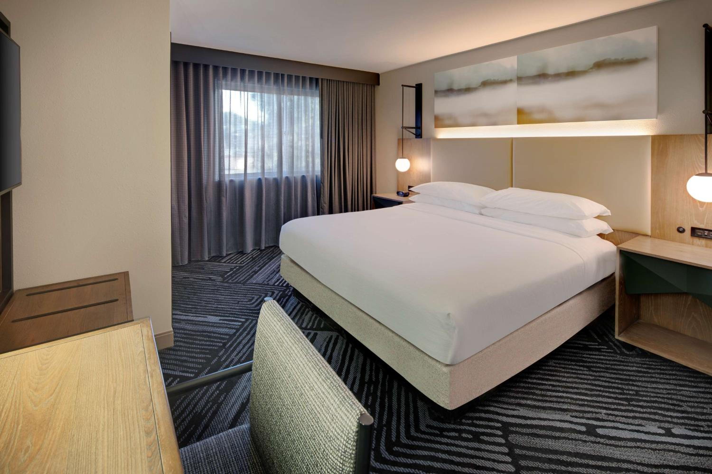 Premium King Suite - Mobility/Hearing Accessible - Photo 3