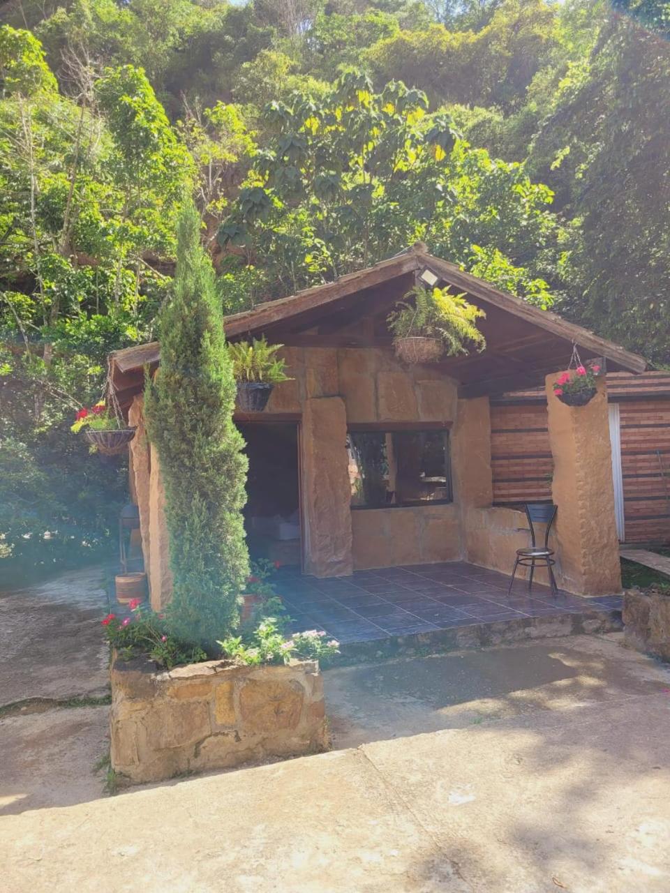 Suite photo 2