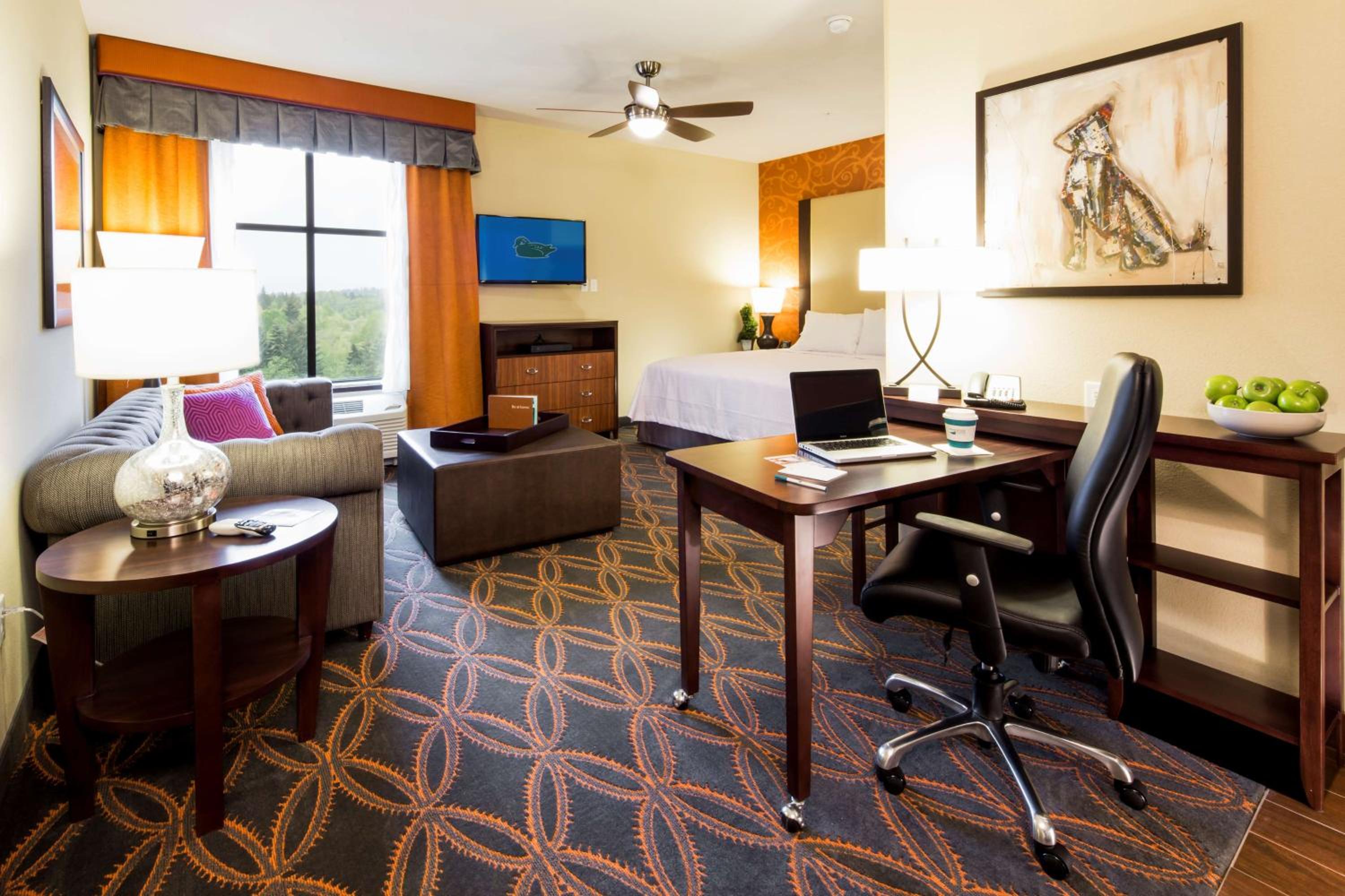 Premium Studio Suite with One King Bed and Kitchen