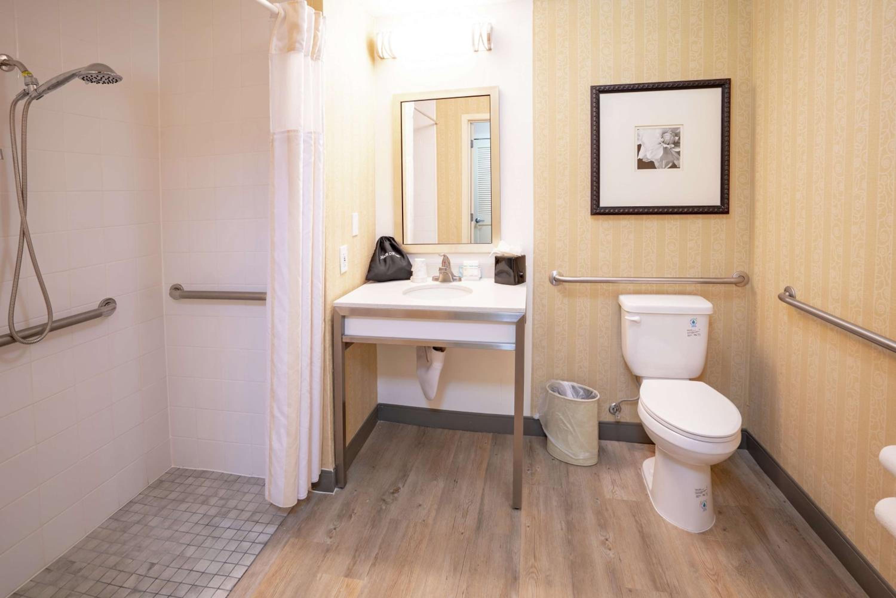 King Room with Roll-In Shower - Mobility Access - Photo 2