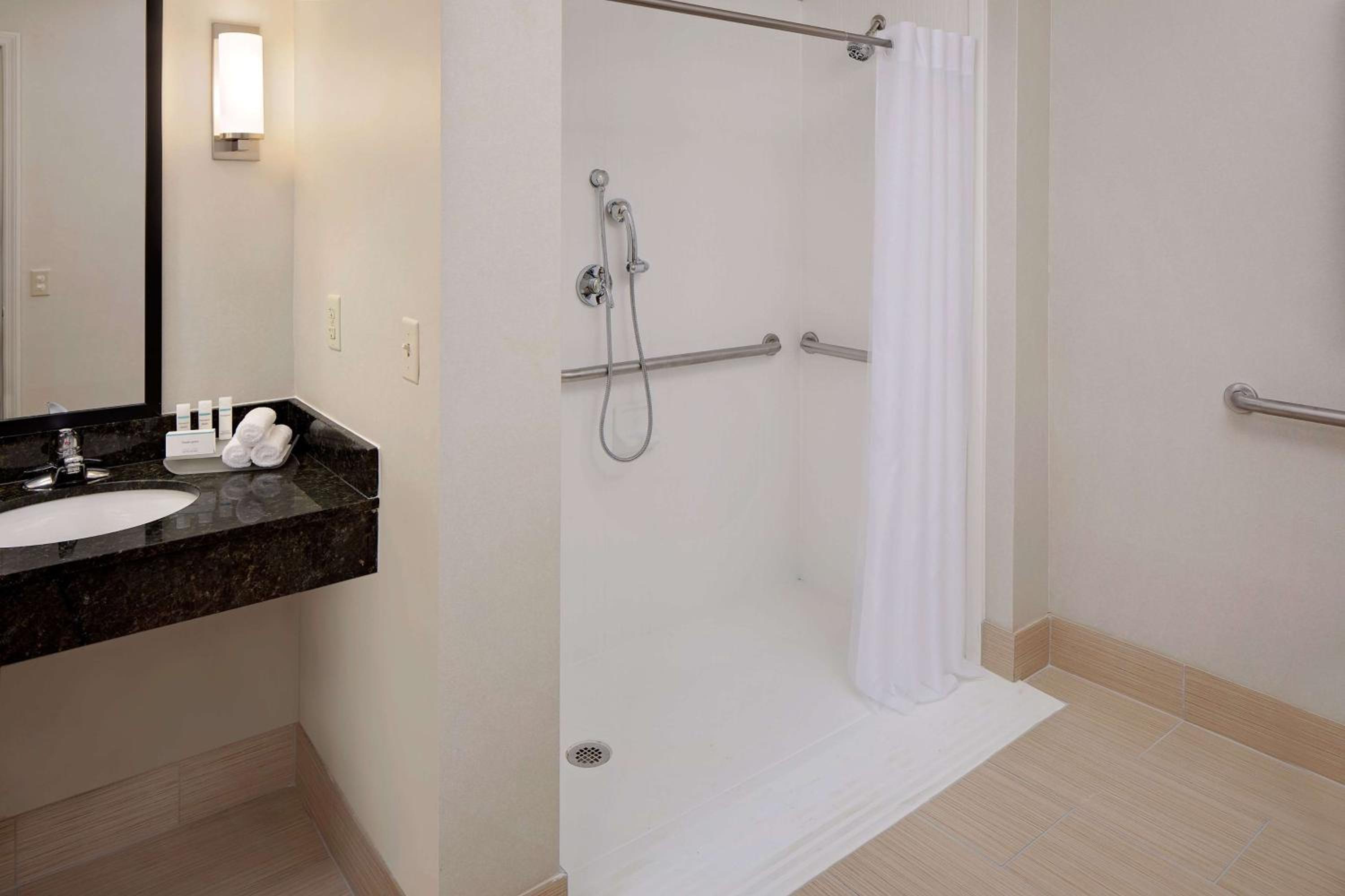 King Suite - Disability Access with Roll In Shower/Non-Smoking - Photo 4
