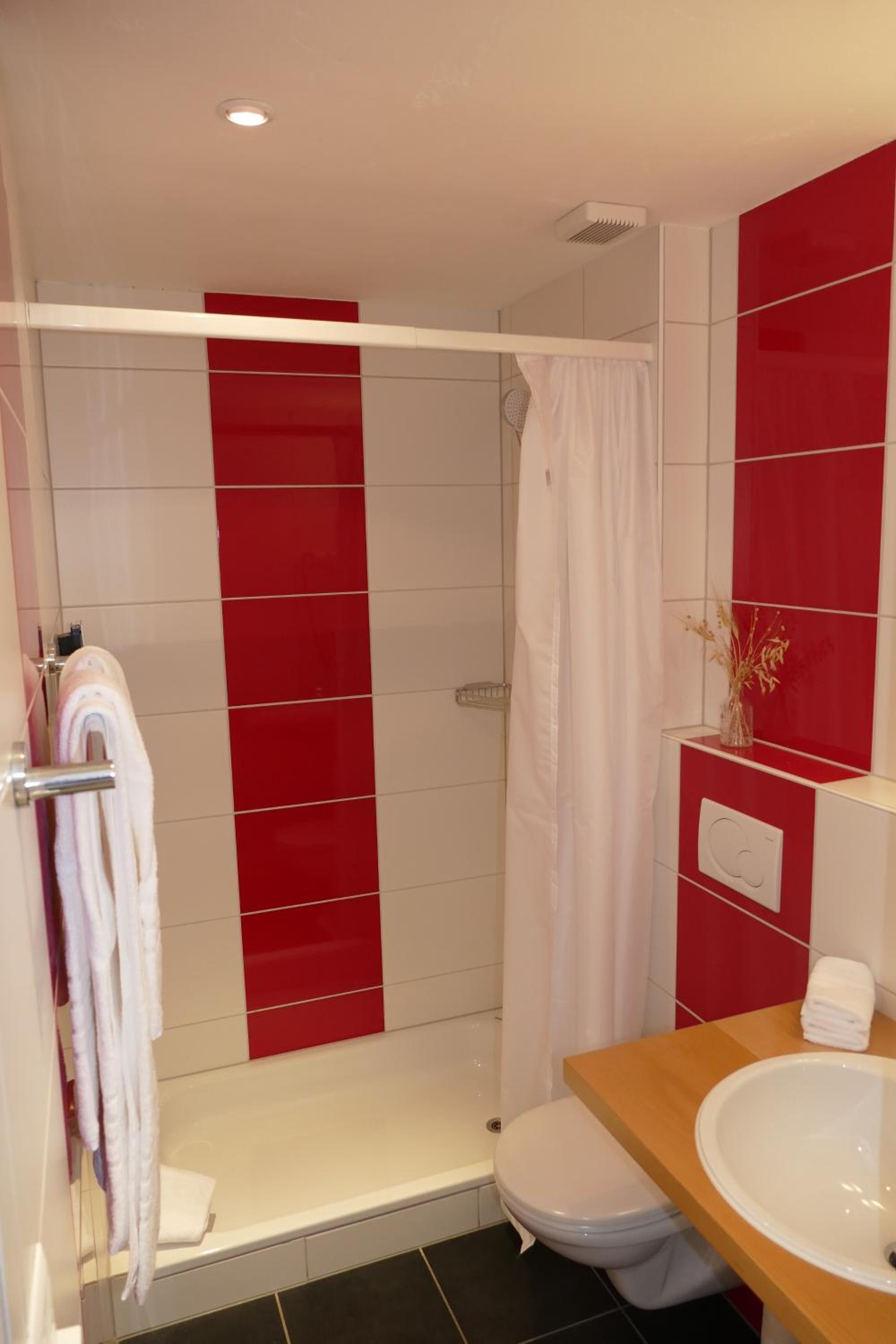 Single Room with Terrace