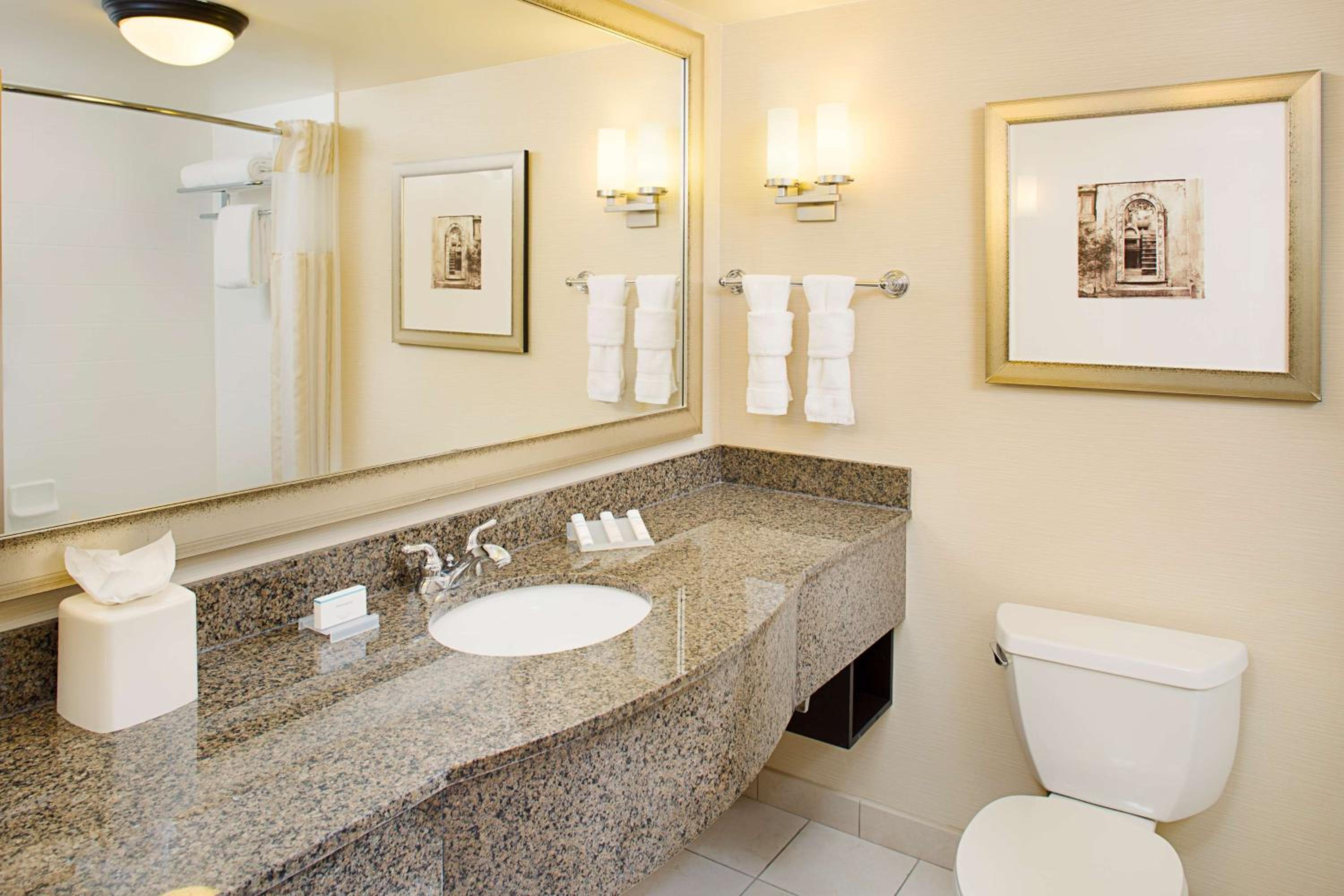 Deluxe King Suite photo 2