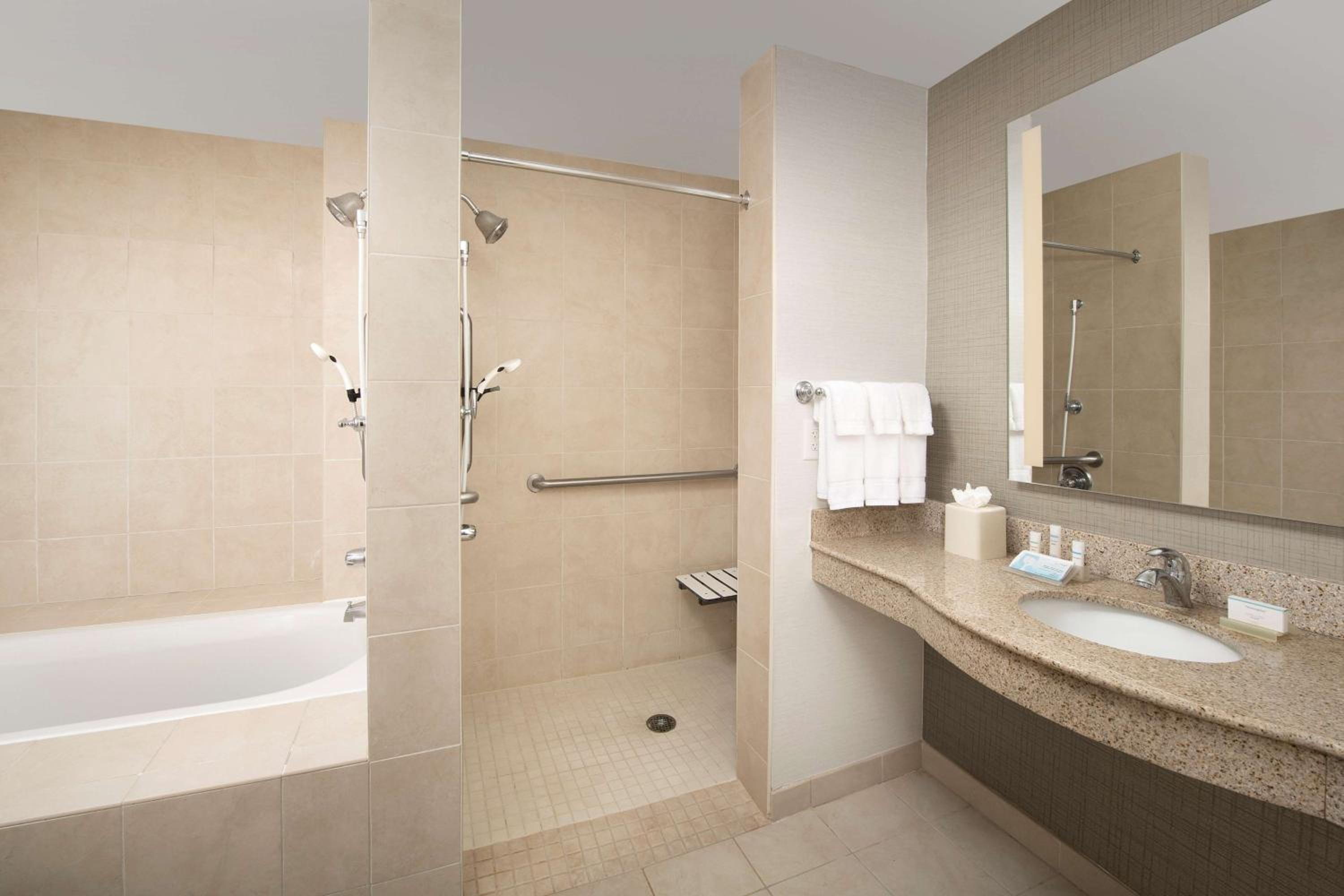 King Suite - Disability Access Hearing Accessible Roll-In Shower - Photo 2