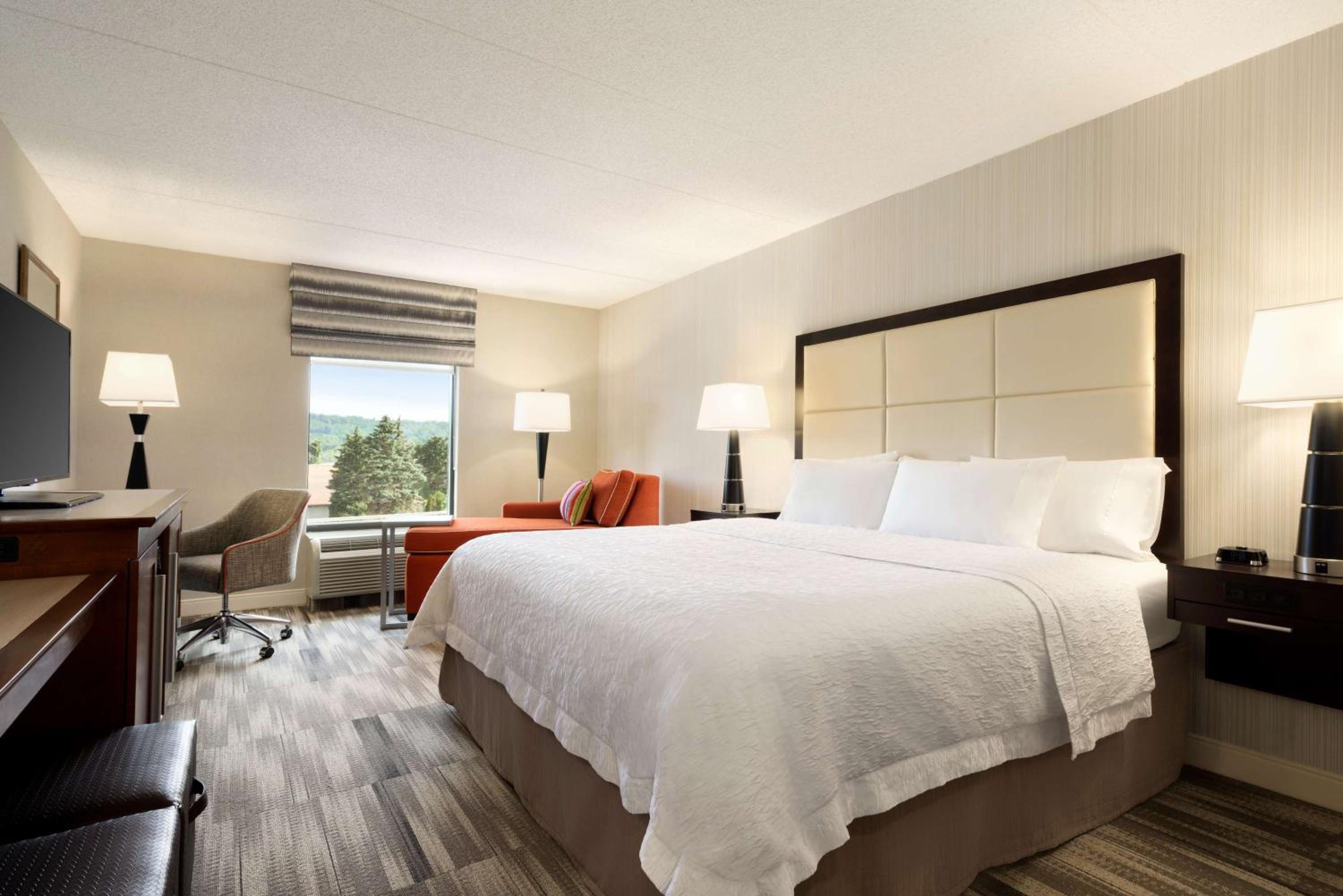 King Room with King Bed - Non-Smoking at Hampton Inn Lehighton - Jim Thorpe in Lehighton