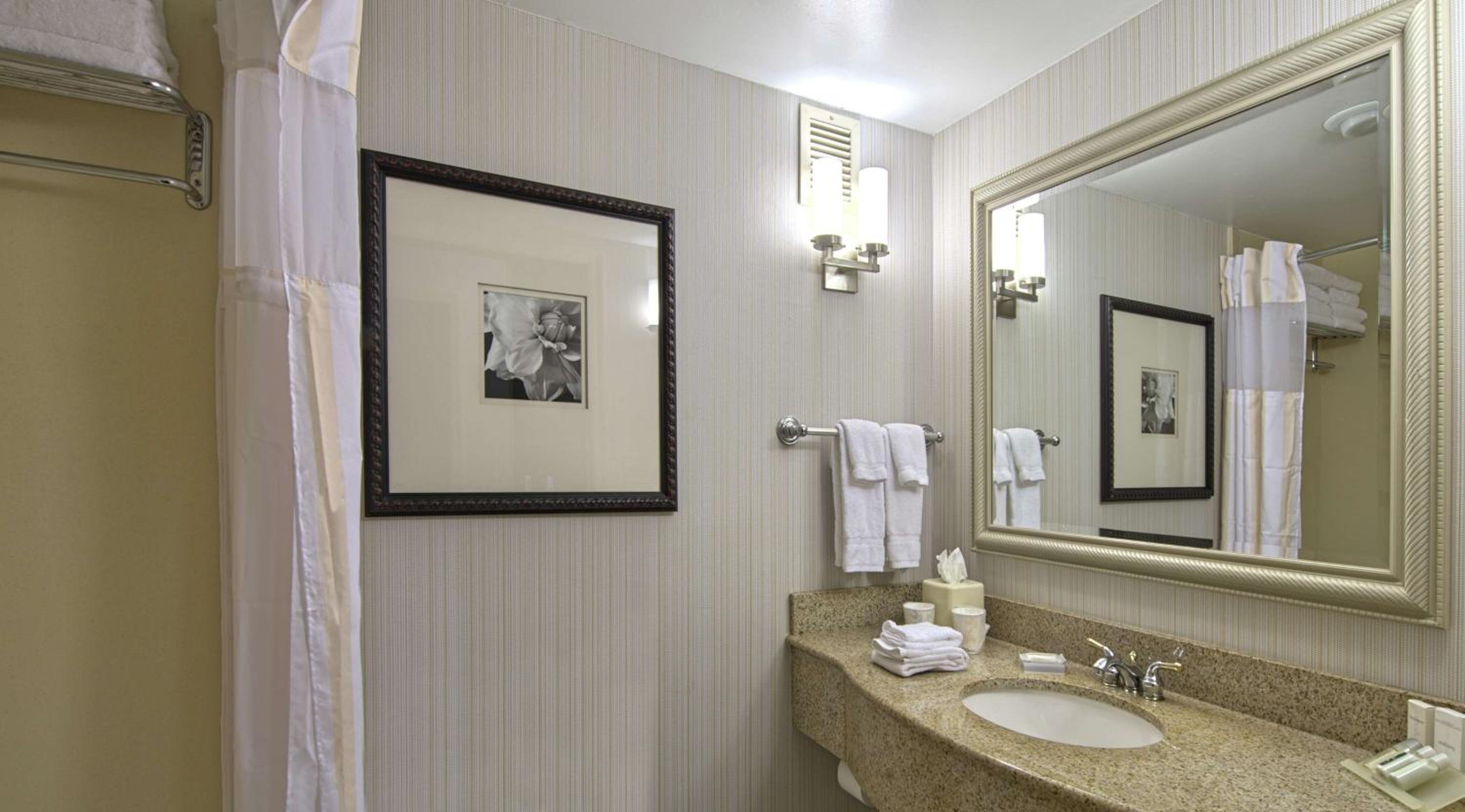 Junior King Suite with Sofa Bed - Photo 3