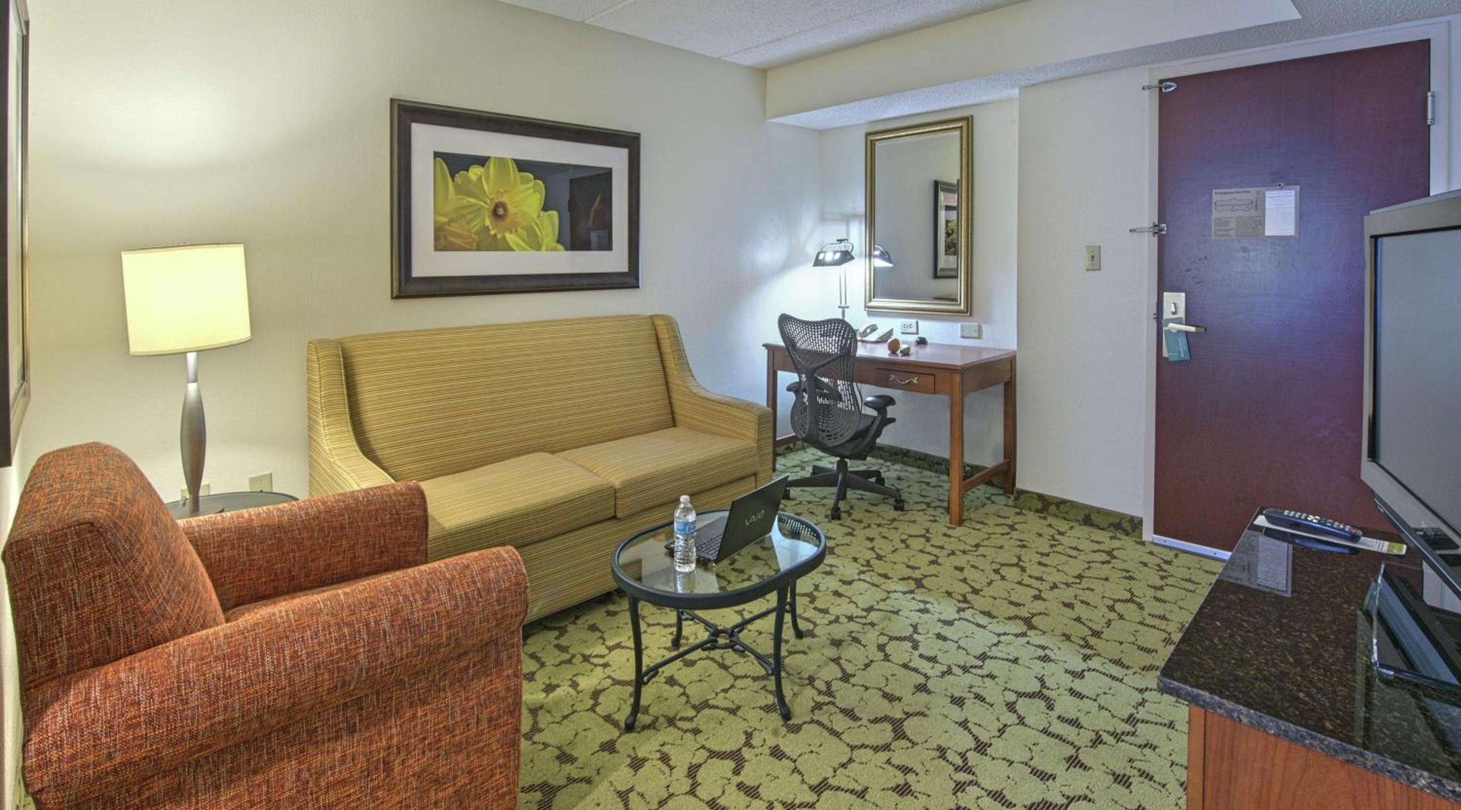 Junior King Suite with Sofa Bed - Photo 5