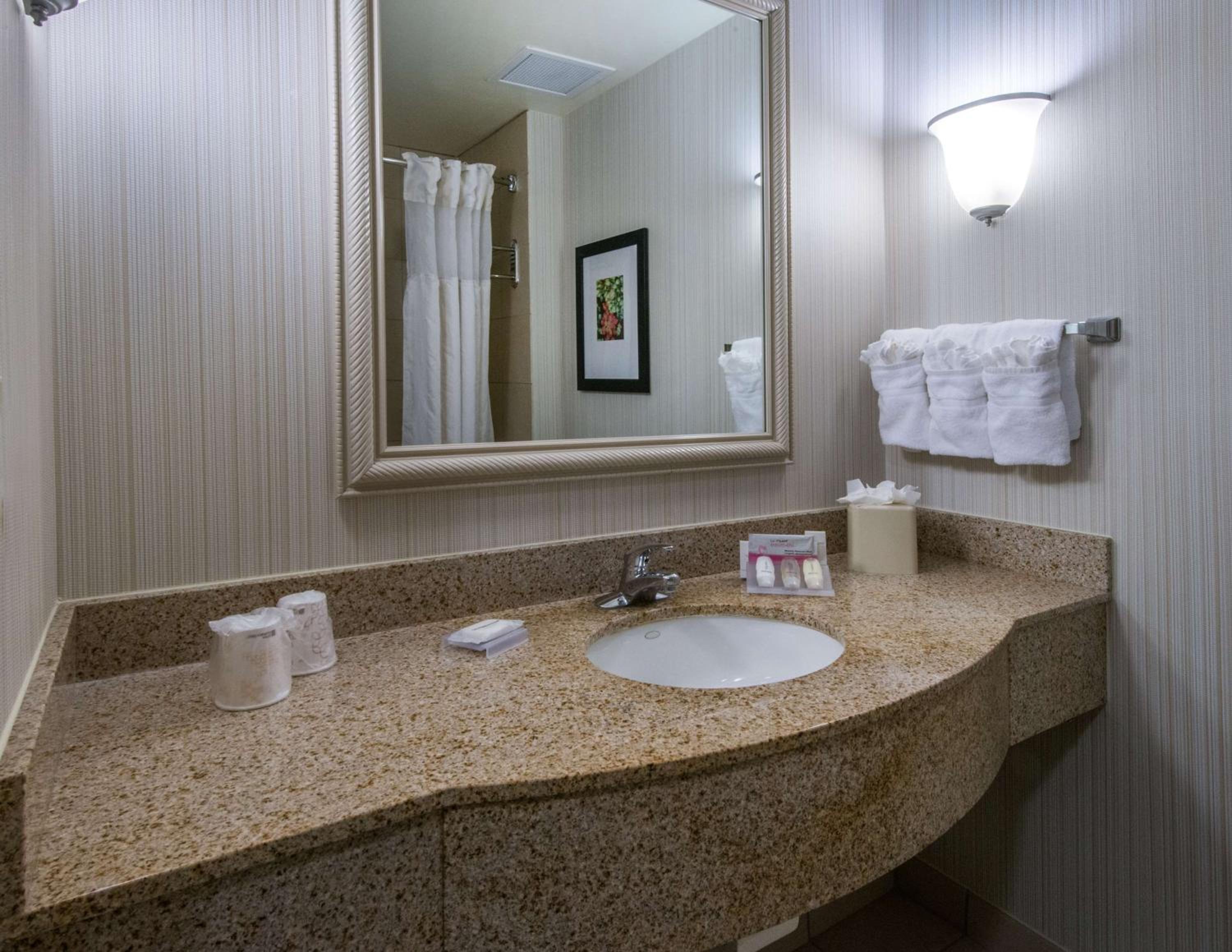 One-Bedroom King Suite - Photo 3
