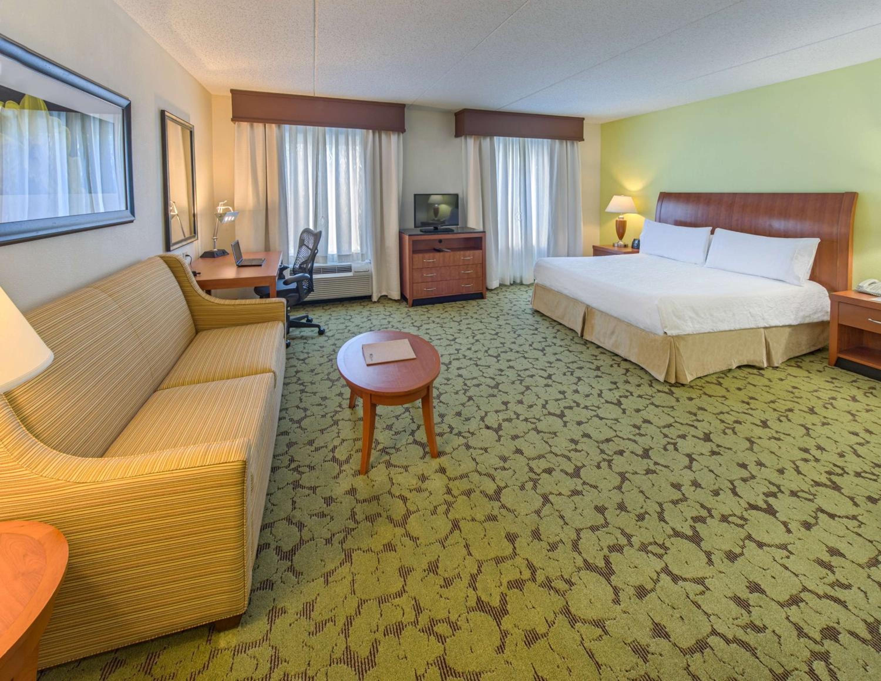 King Studio Suite with Sofa Bed - Photo 1
