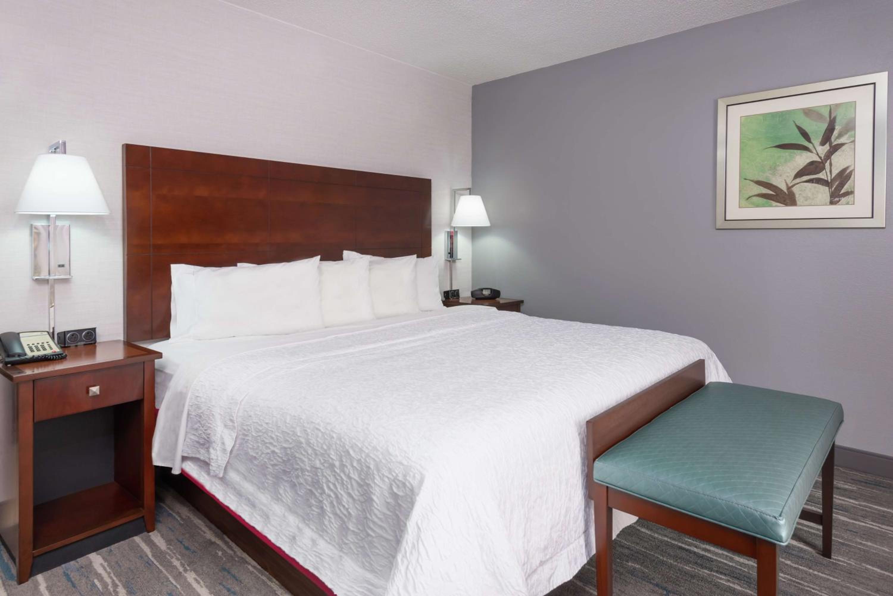 King Room - Hearing Access/Non-Smoking photo 3