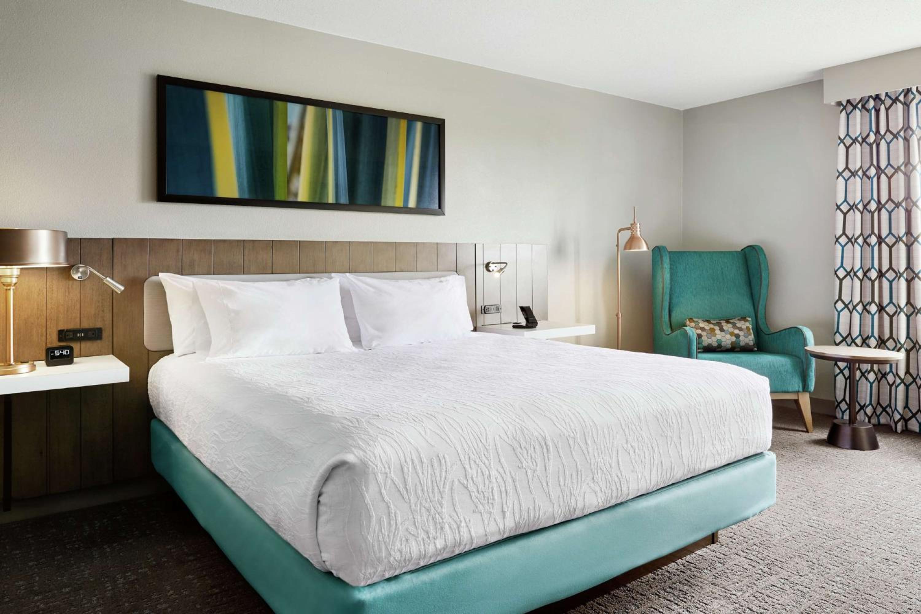 King Room photo 1