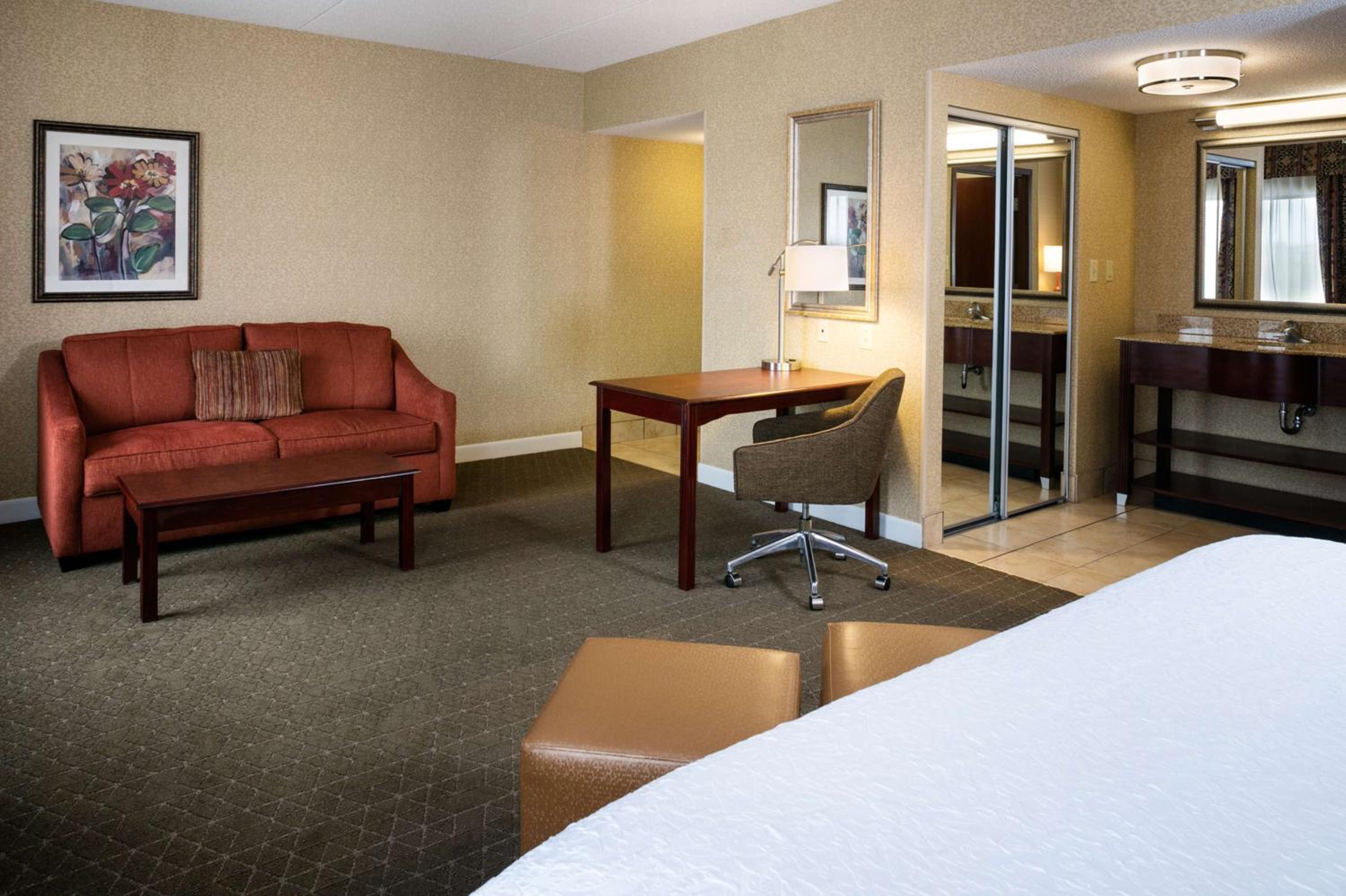 King Studio Suite with Sofa Bed - Non-Smoking - Photo 3