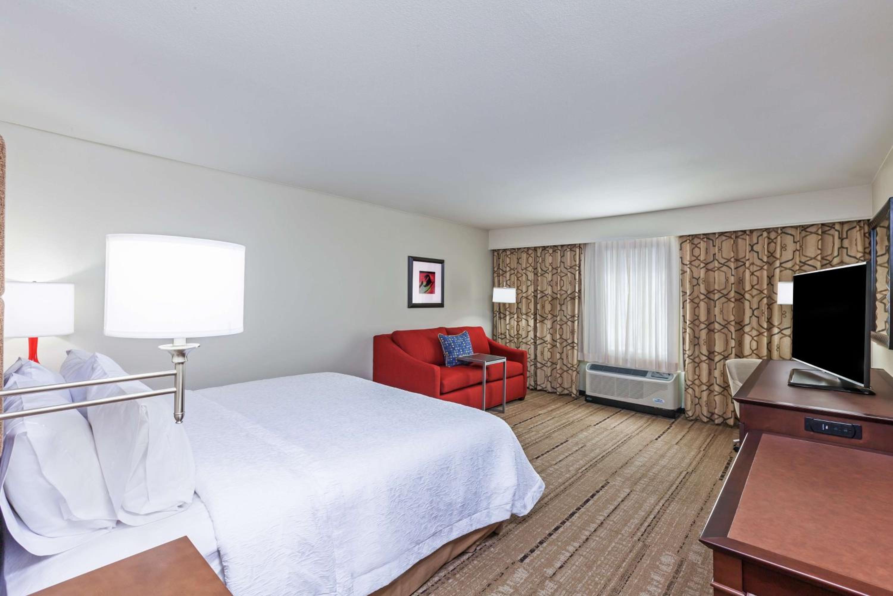 King Room with Sofa Bed - Hearing Accessible/Non-Smoking